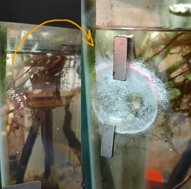 Aquarium, Terrain, Aquarium_78