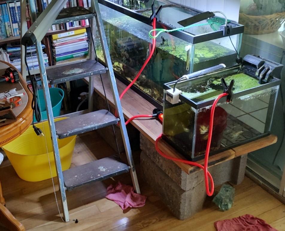 Aquarium, Terrain, Aquarium_87