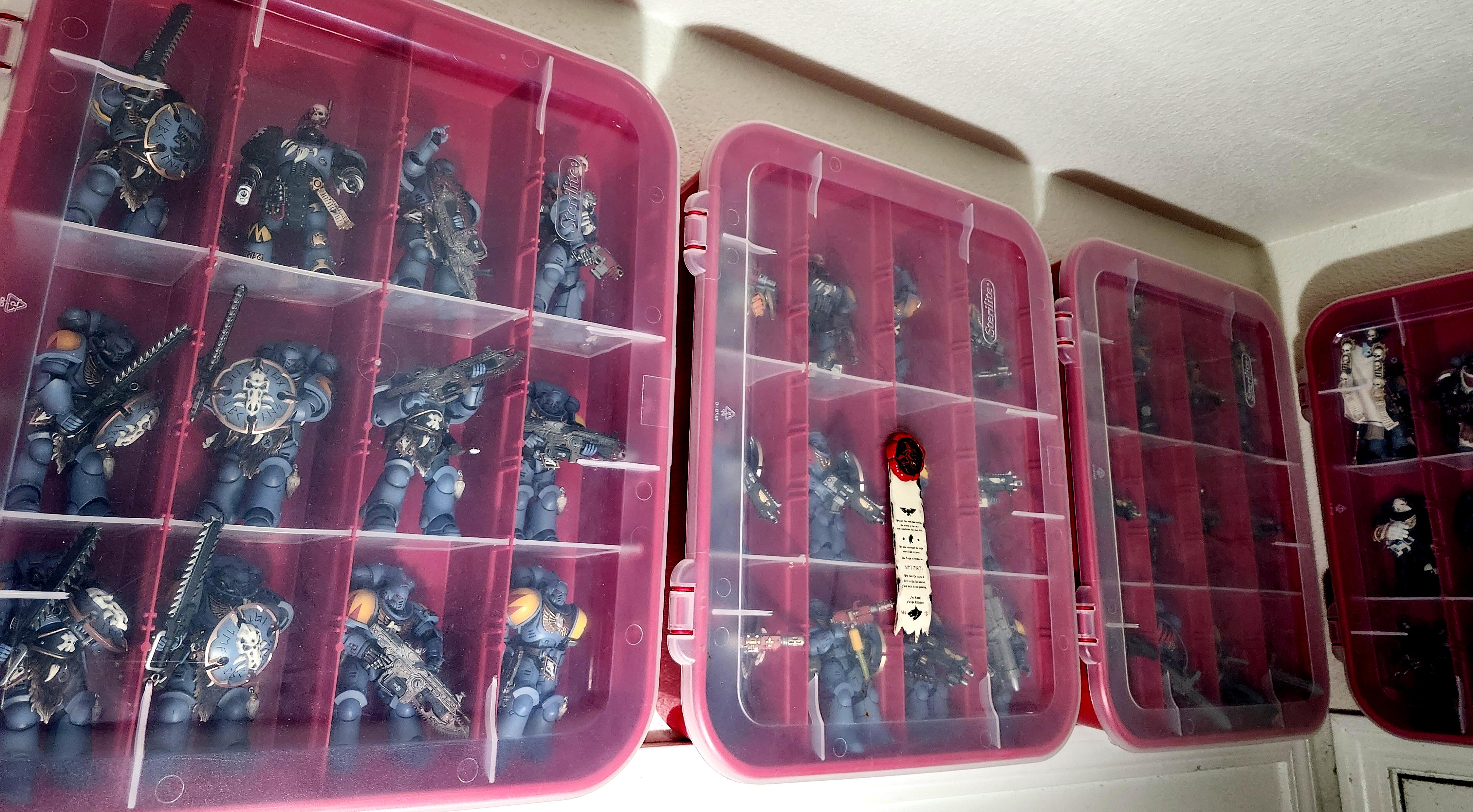 Space Marines, Space Wolves