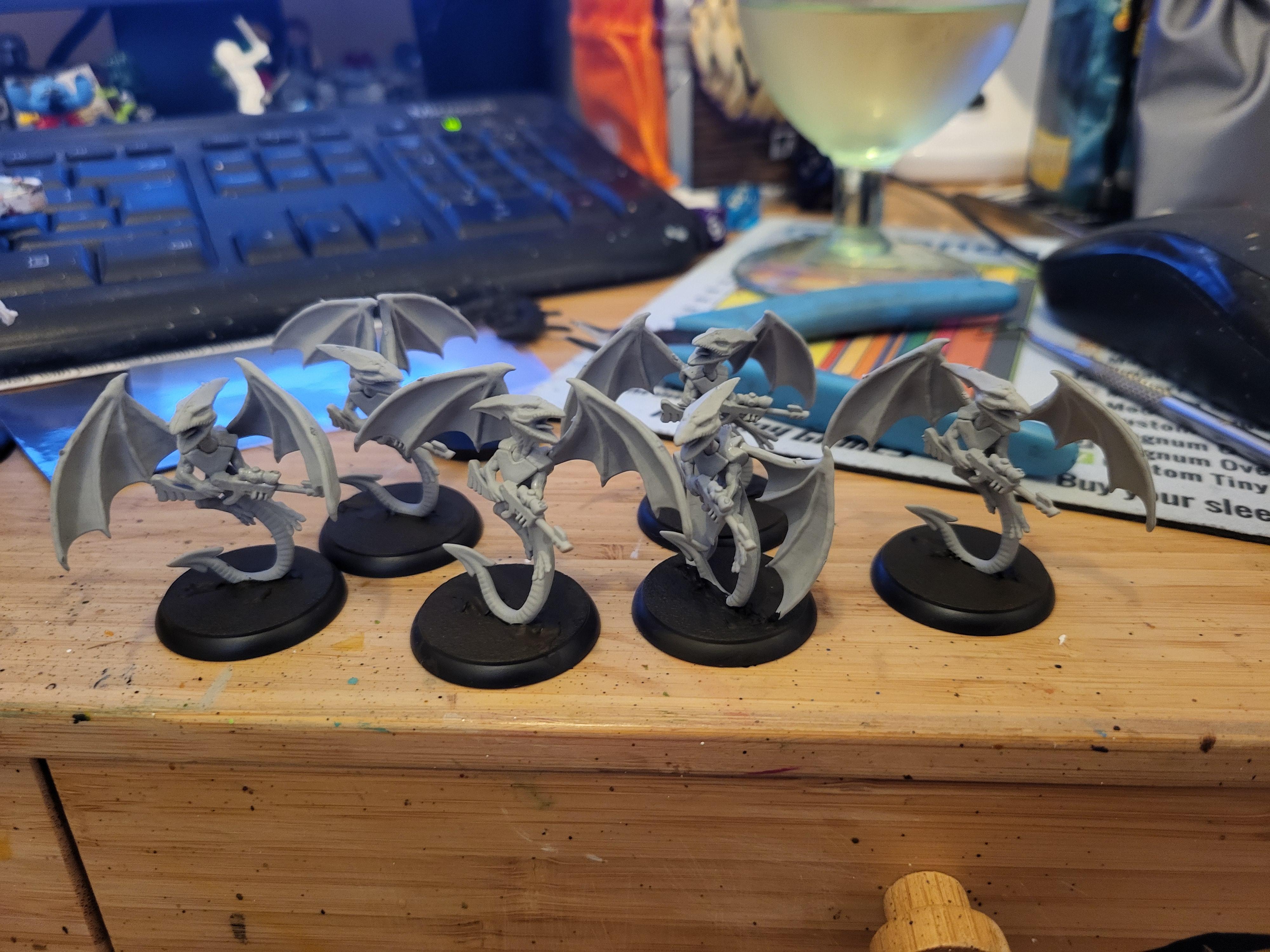 Setaris Ravagers build 