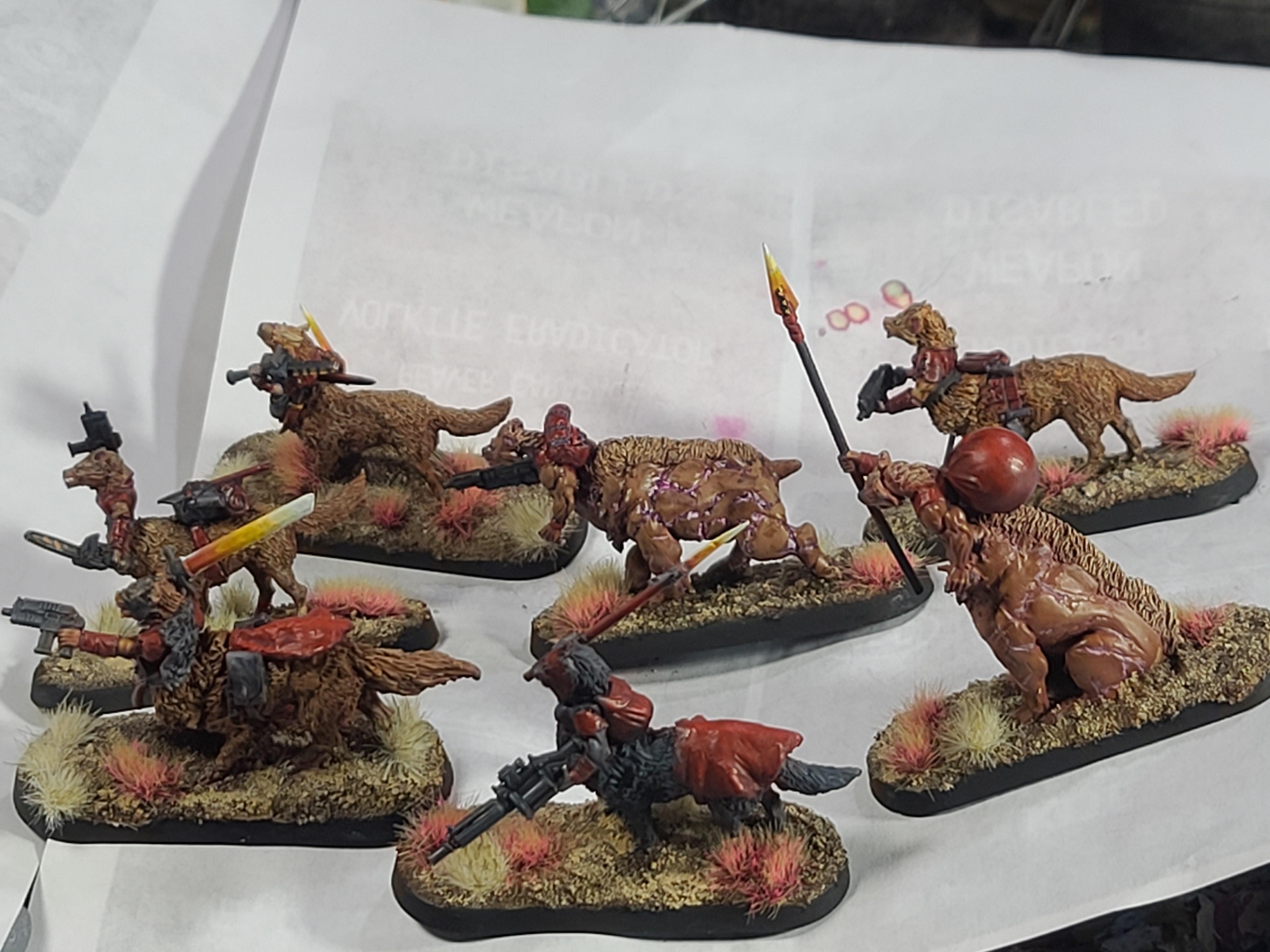 Frostgrave Gnolls, Gorkamorka, Kitbash, Muties, North Star Military Figures, Reaper Miniatures, Taur, Wolves