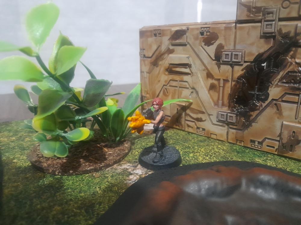 Action, Assassin, Attelus Kaltos, Fanfic, Five Parsecs From Home, Secret War, Shooting. Warhammer, Warhammer 40,000, Warhammer Fantasy