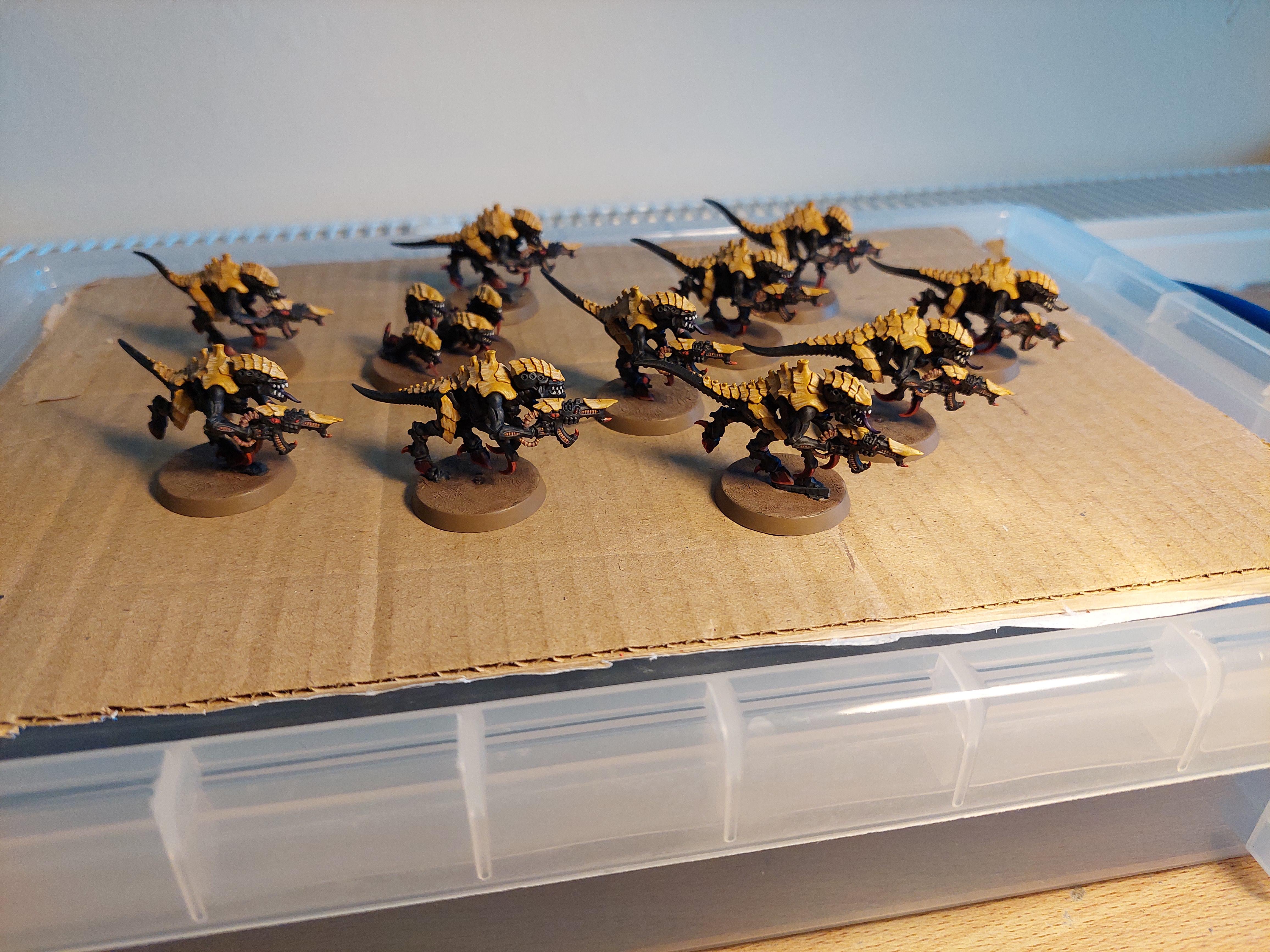 Tyranids, Jormungandr Termagants 1