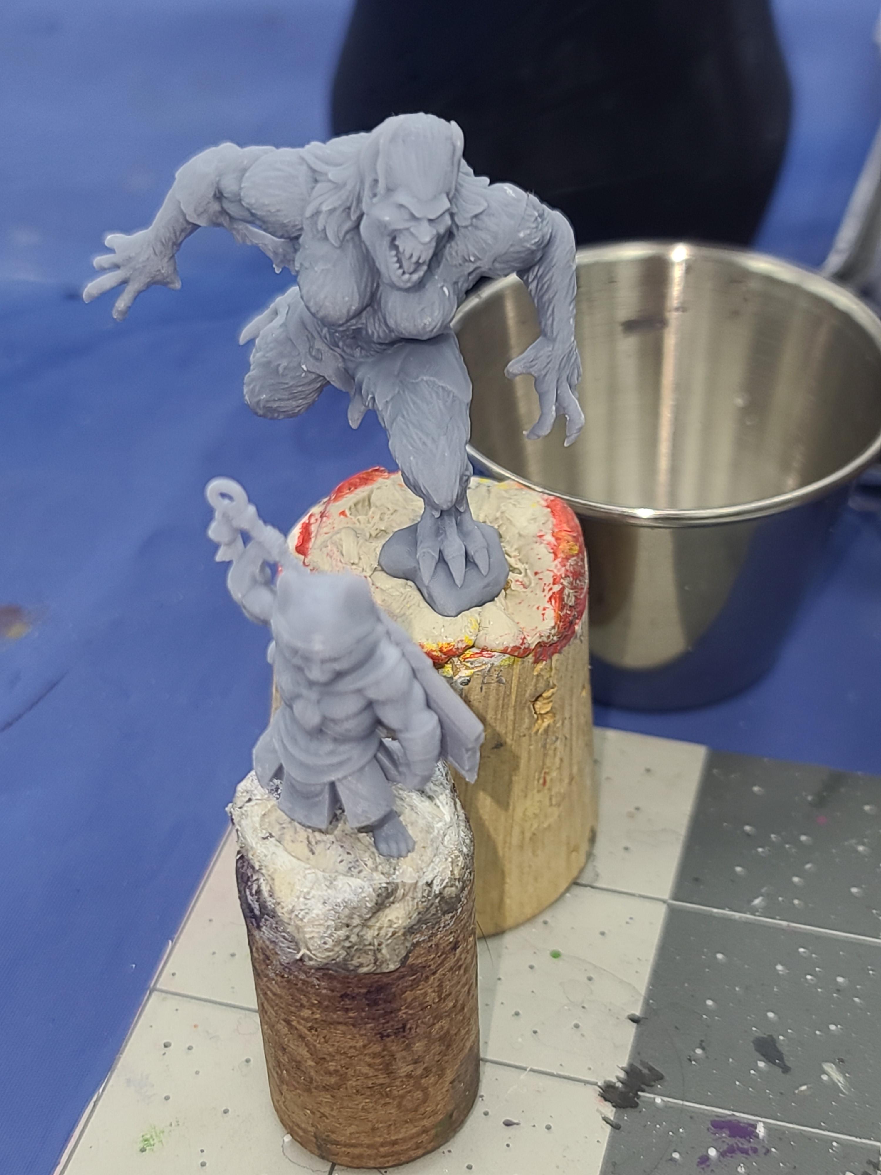 3d Print, Cat Warrior, Mgs Miniatures, Rn Estudio, Werewolf