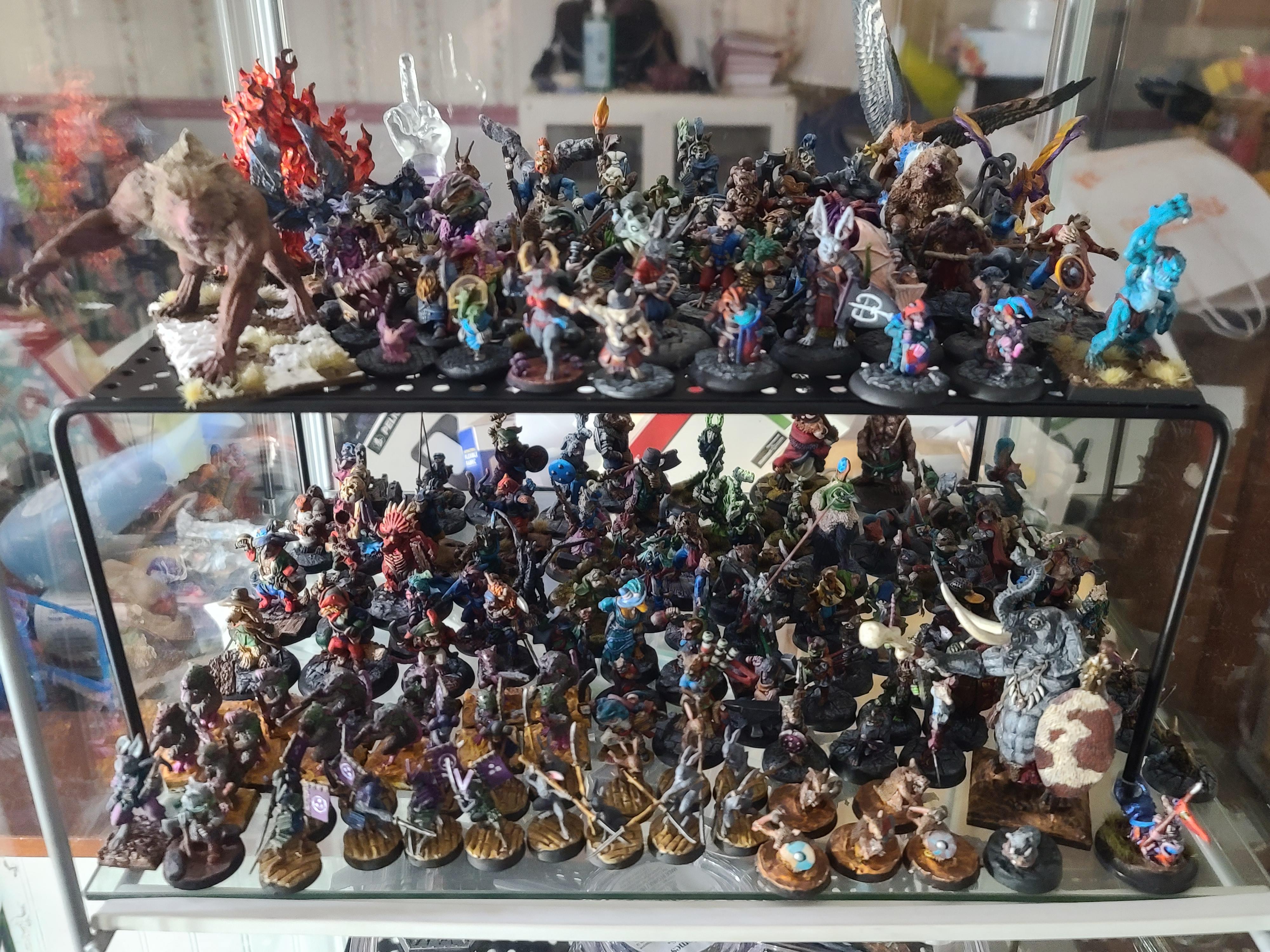 Animal Adventurers, Detolf, Display Case, Dungeons And Dragons, Miniature Storage