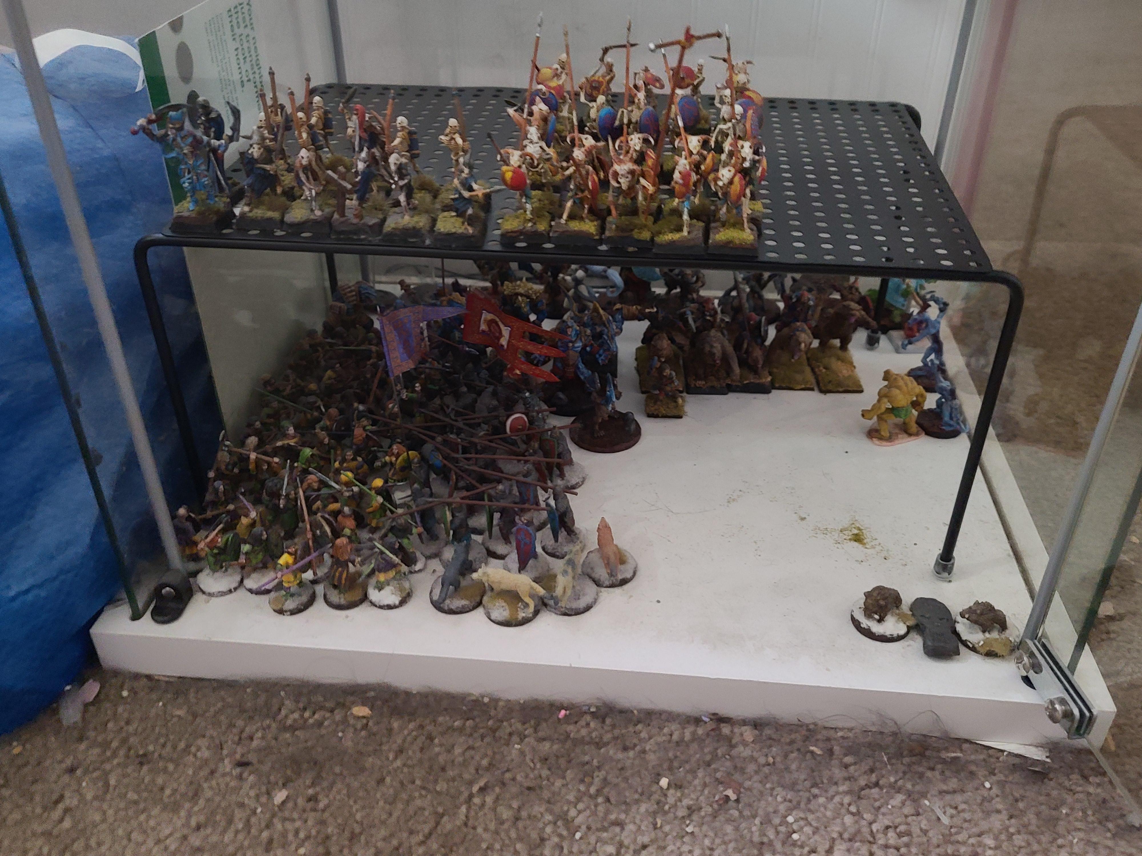 Detolf, Display Case, Mass Battle, Miniature Storage, Warhammer Fantasy