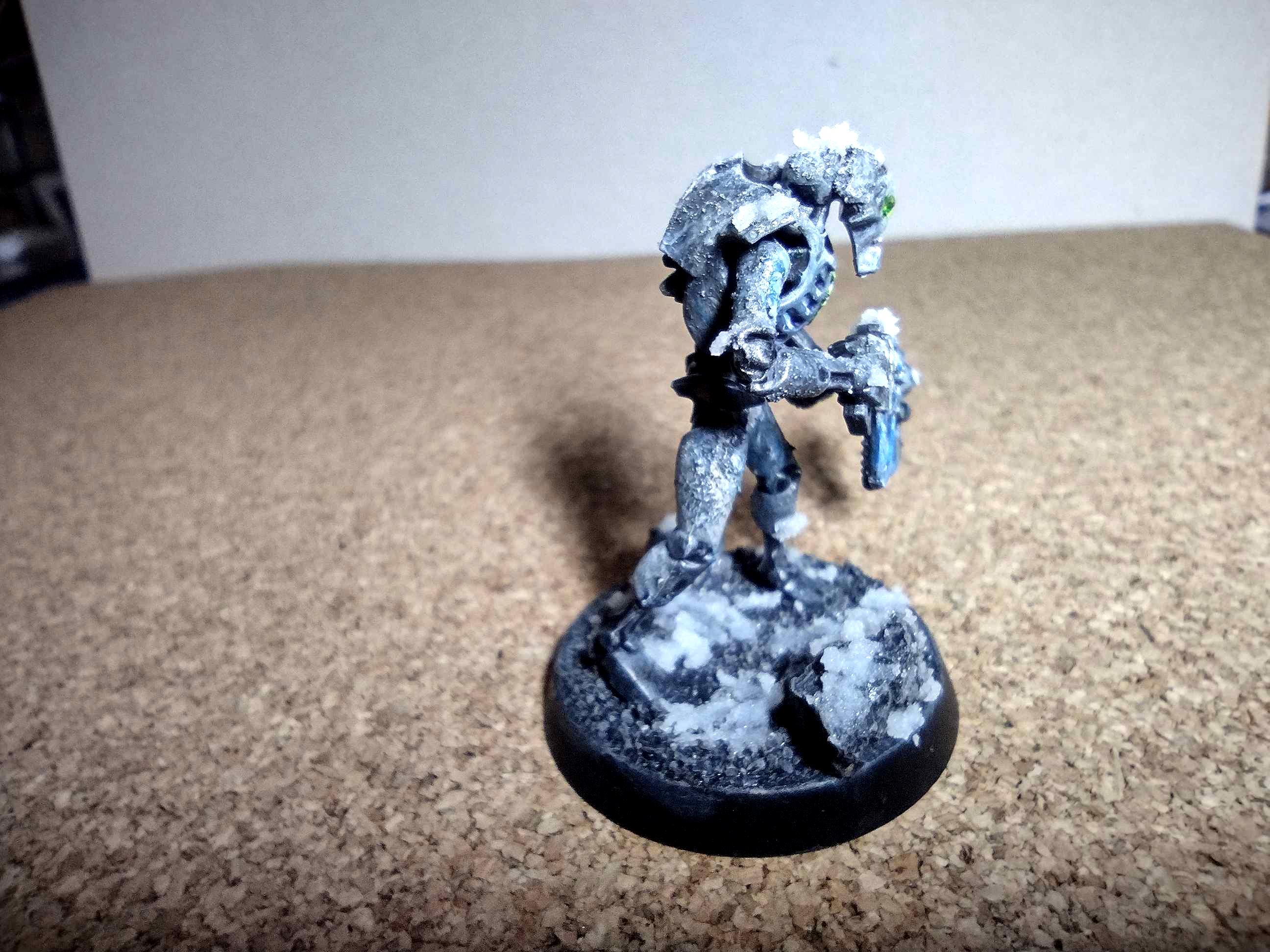 Necron Warrior, Necrons