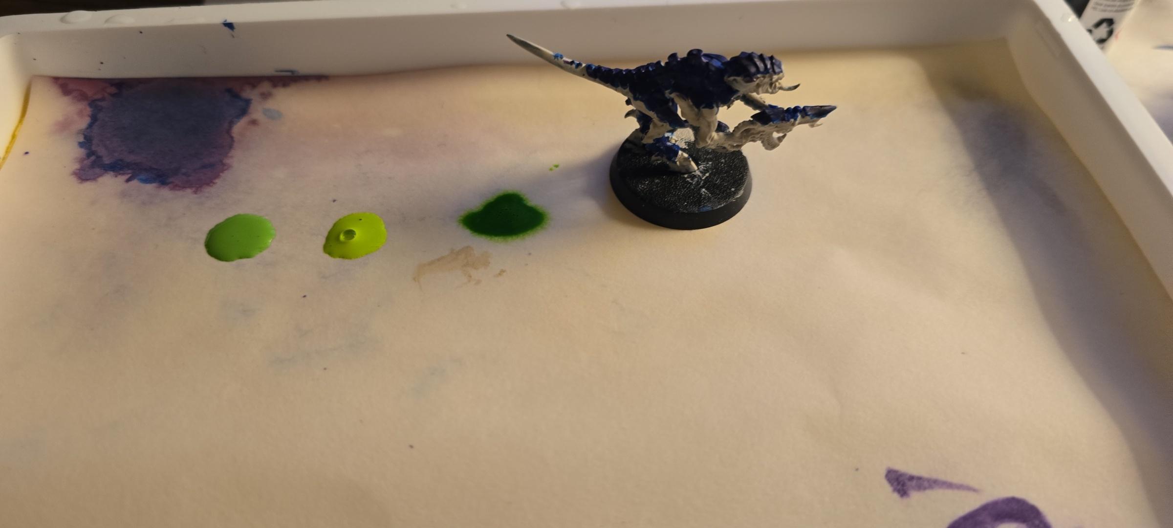 Colors I'm using