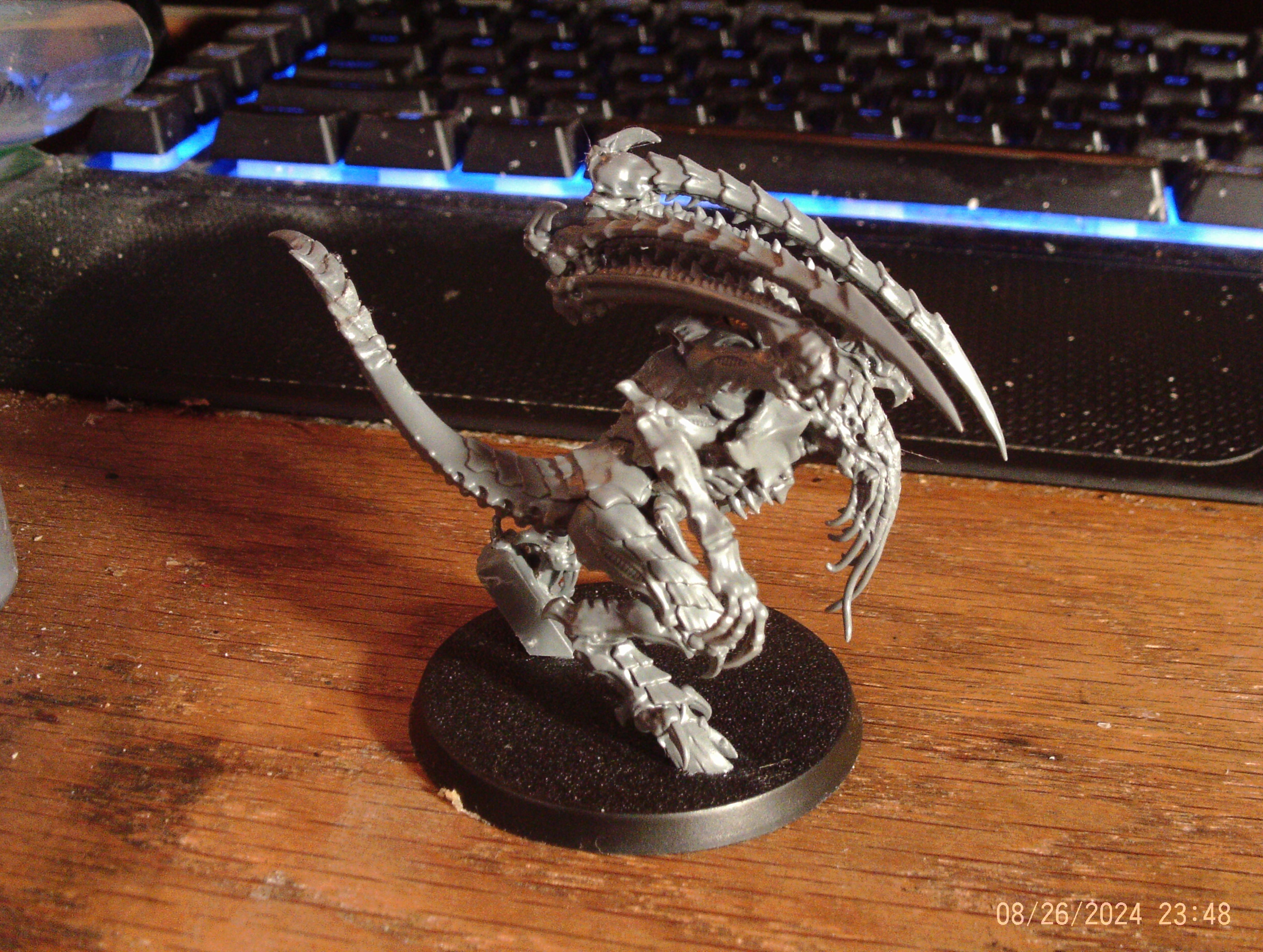 Lictor 1 assembled