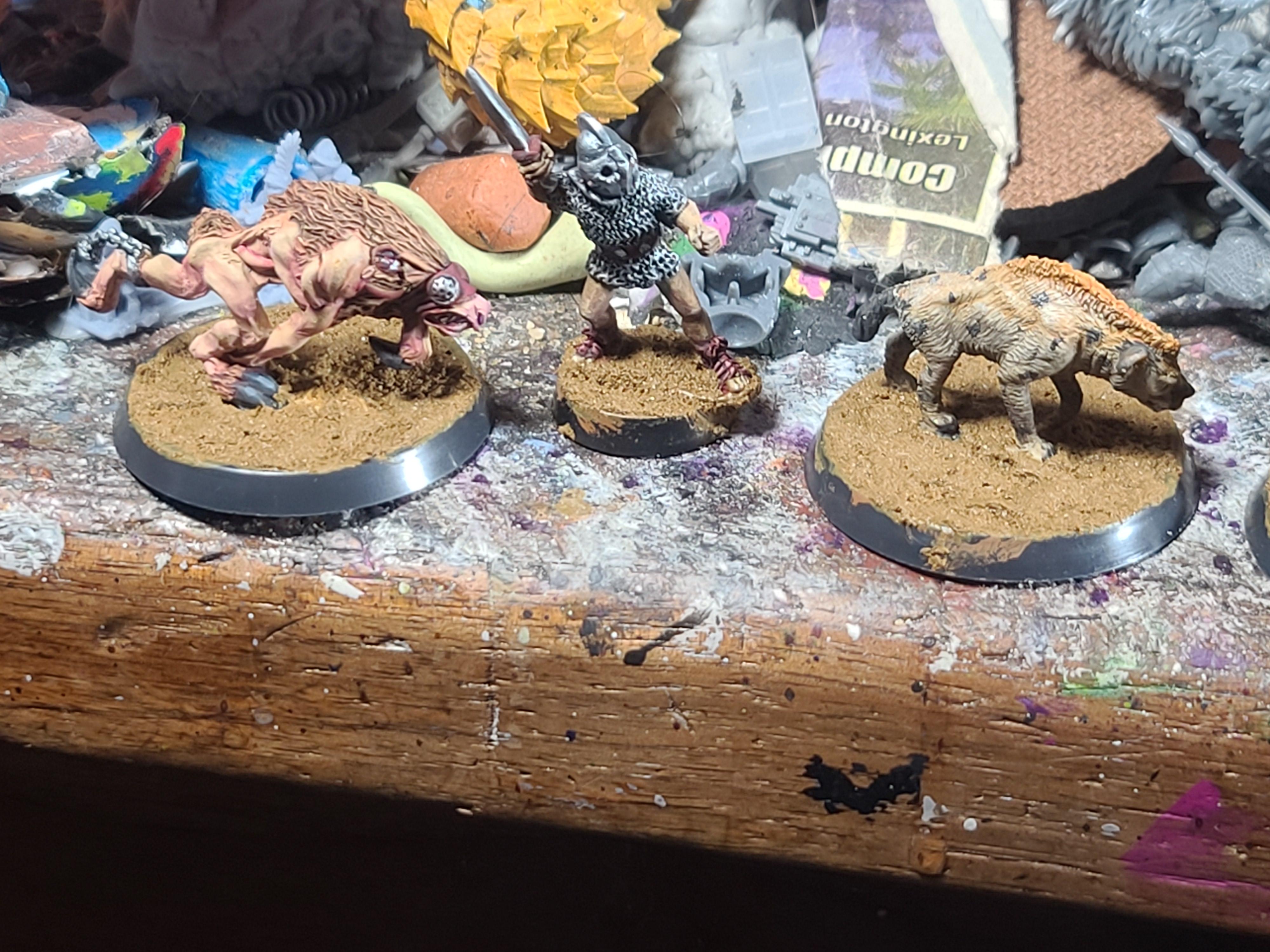 Animal, Cell Entertainment, Gladiator, Hyena, Reaper Miniatures, Unknown Caster