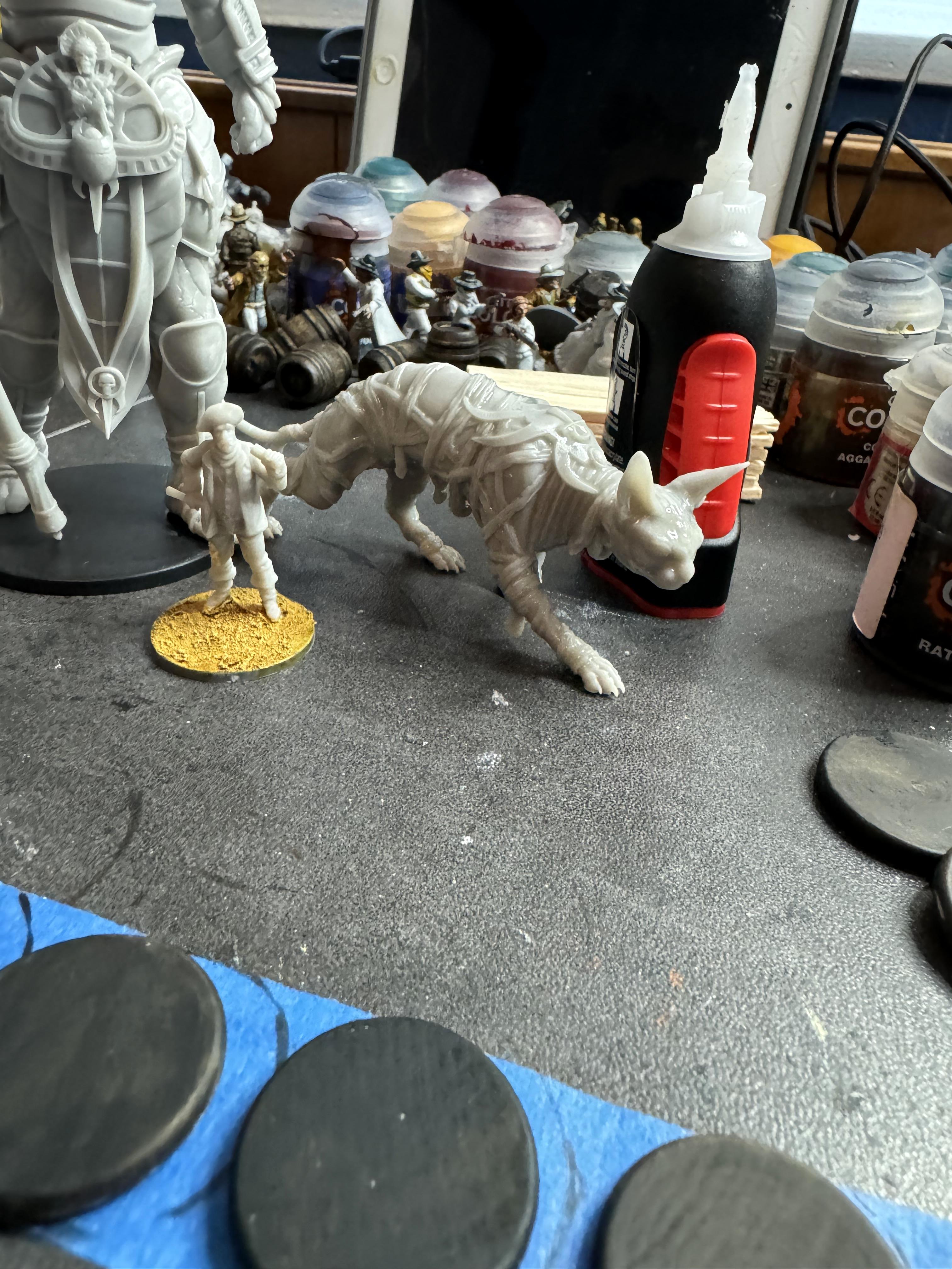 Sphynx2