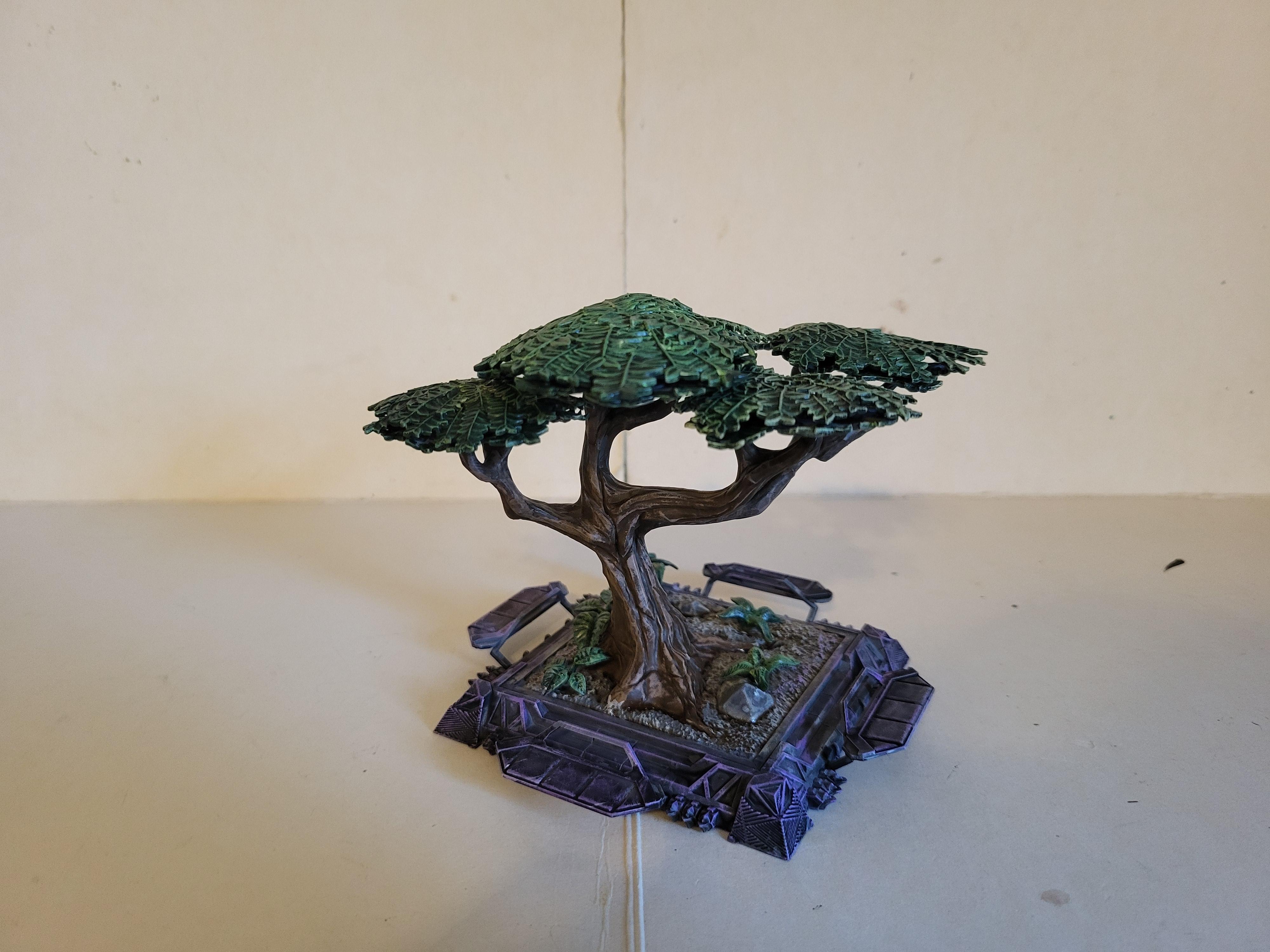 Terrain, Wakanda, Tree of the ancestors 