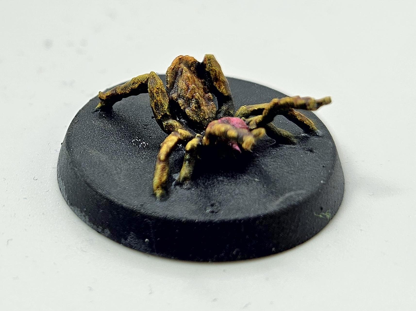 Dungeons &amp; Dragons, Dungeons And Dragons, Pathfinders