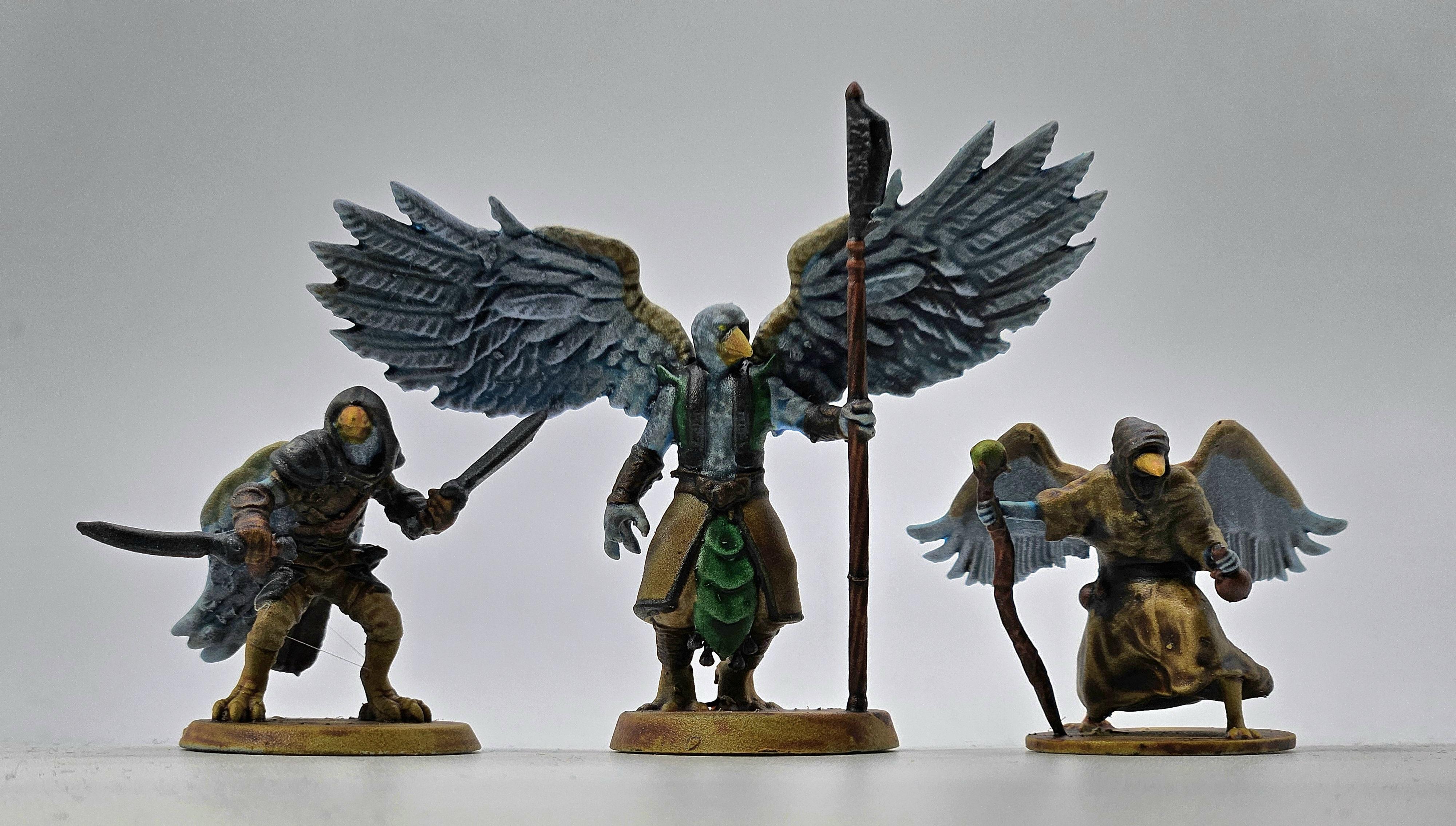 Aarakocra, Dungeons &amp; Dragons, Fighter, Pathfinders, Rogue, Wizard