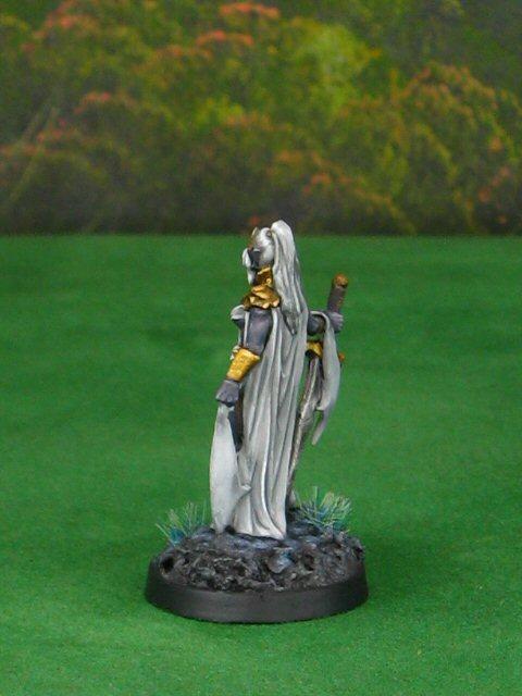 Female Drow Warrior