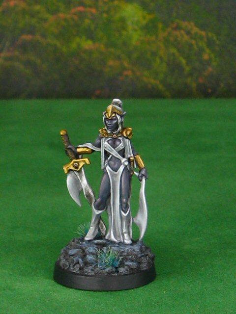 Female Drow Warrior