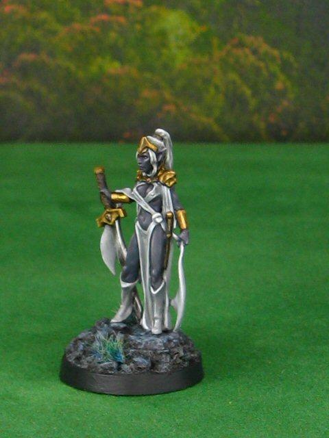 Female Drow Warrior