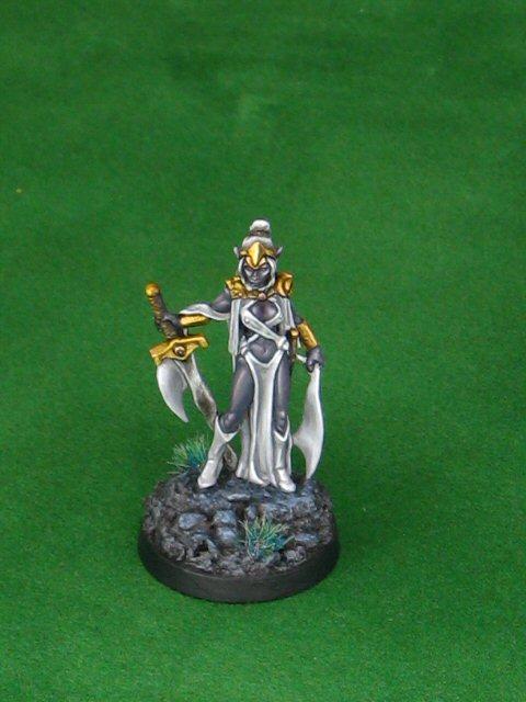 Female Drow Warrior