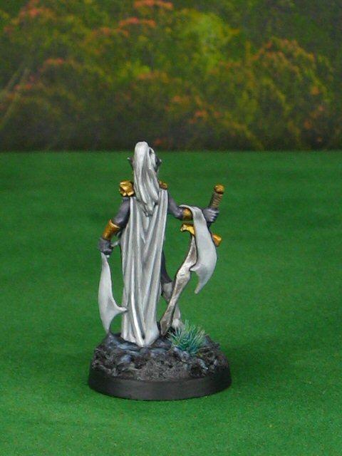 Female Drow Warrior