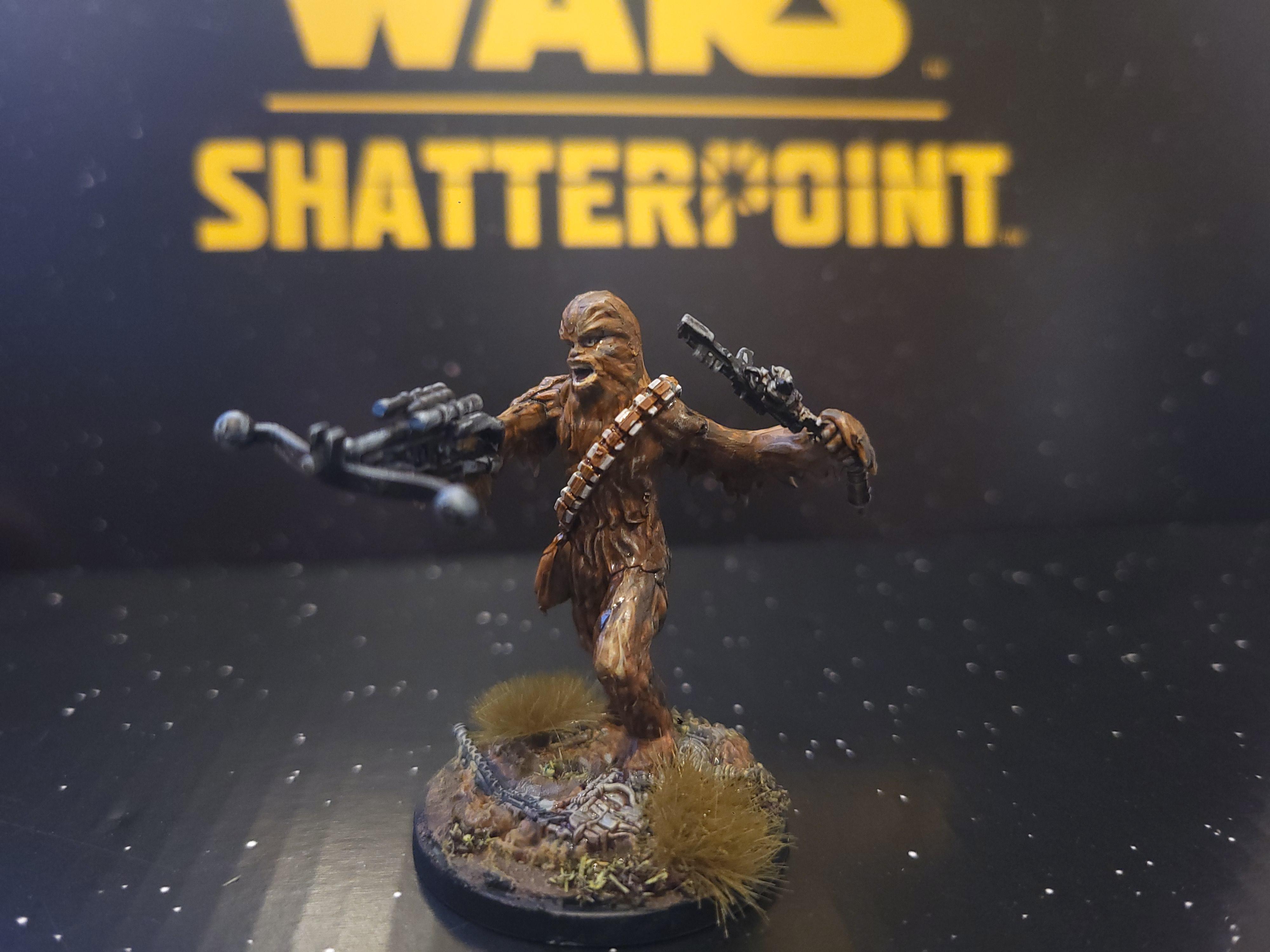 Endor, Rebel, Star Wars, Wookie