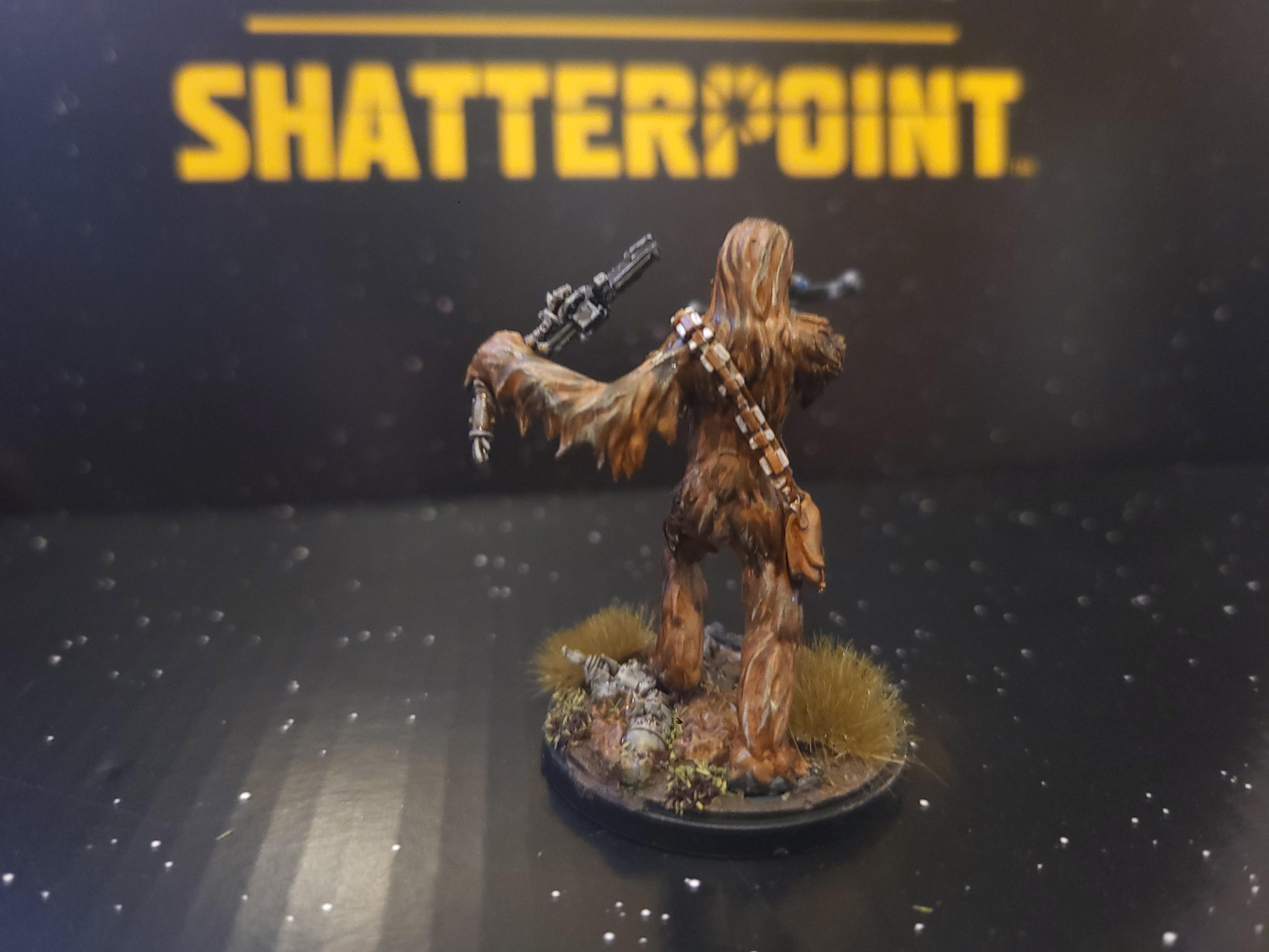 Endor, Rebel, Star Wars, Wookie