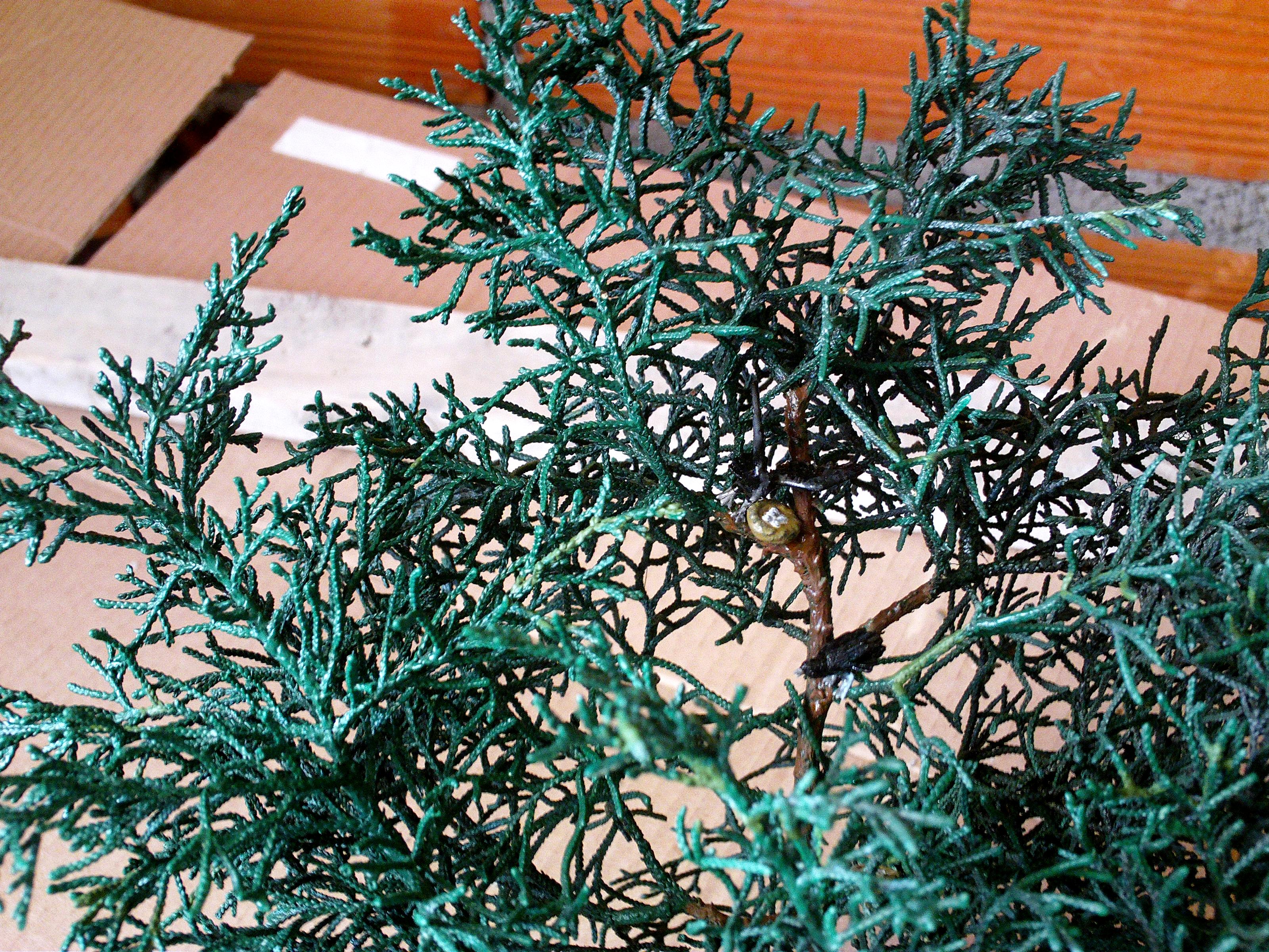 Greenscorpion, Workshop