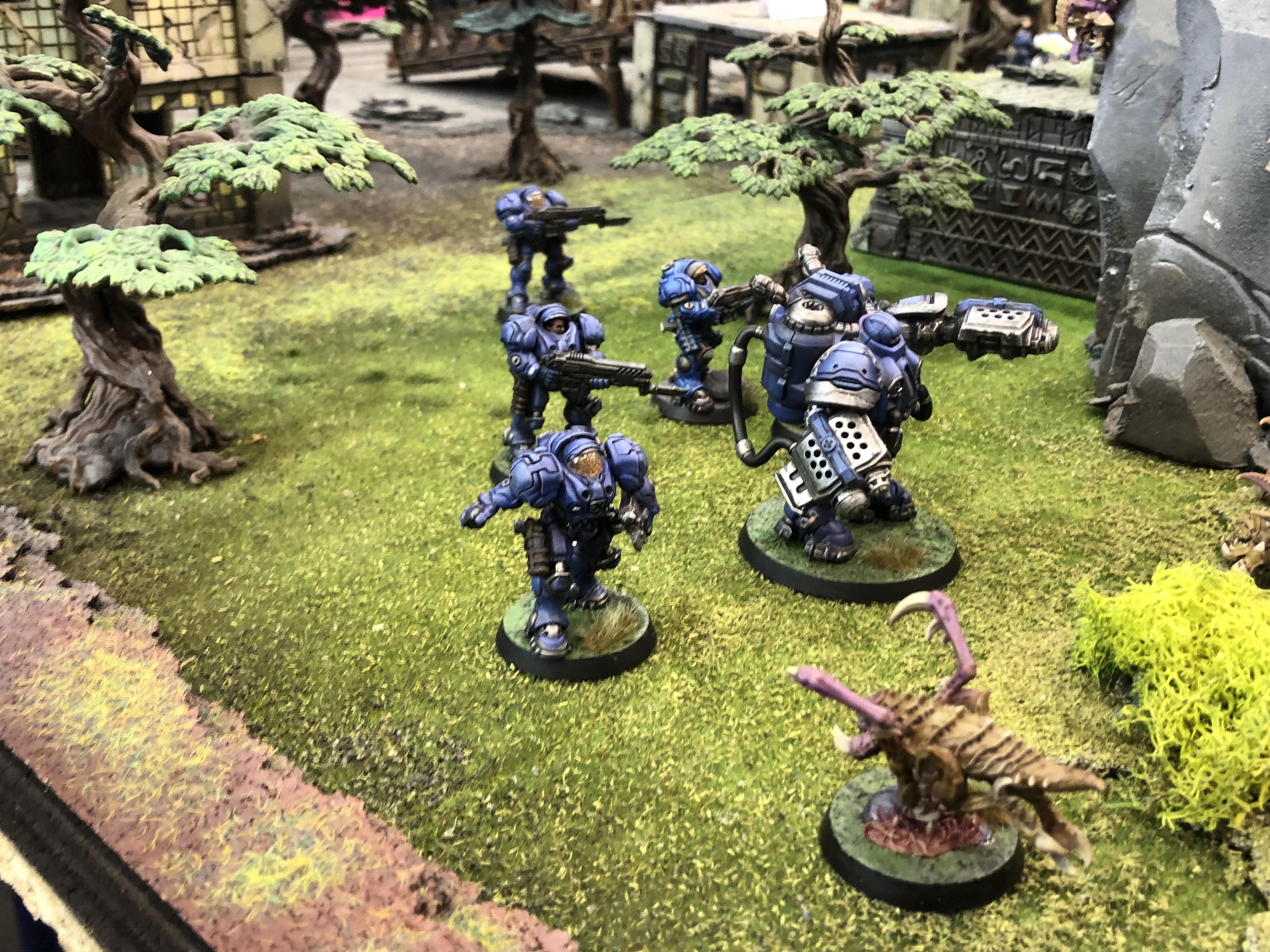 Essen 2025-SCTMG Terrans V Zerg