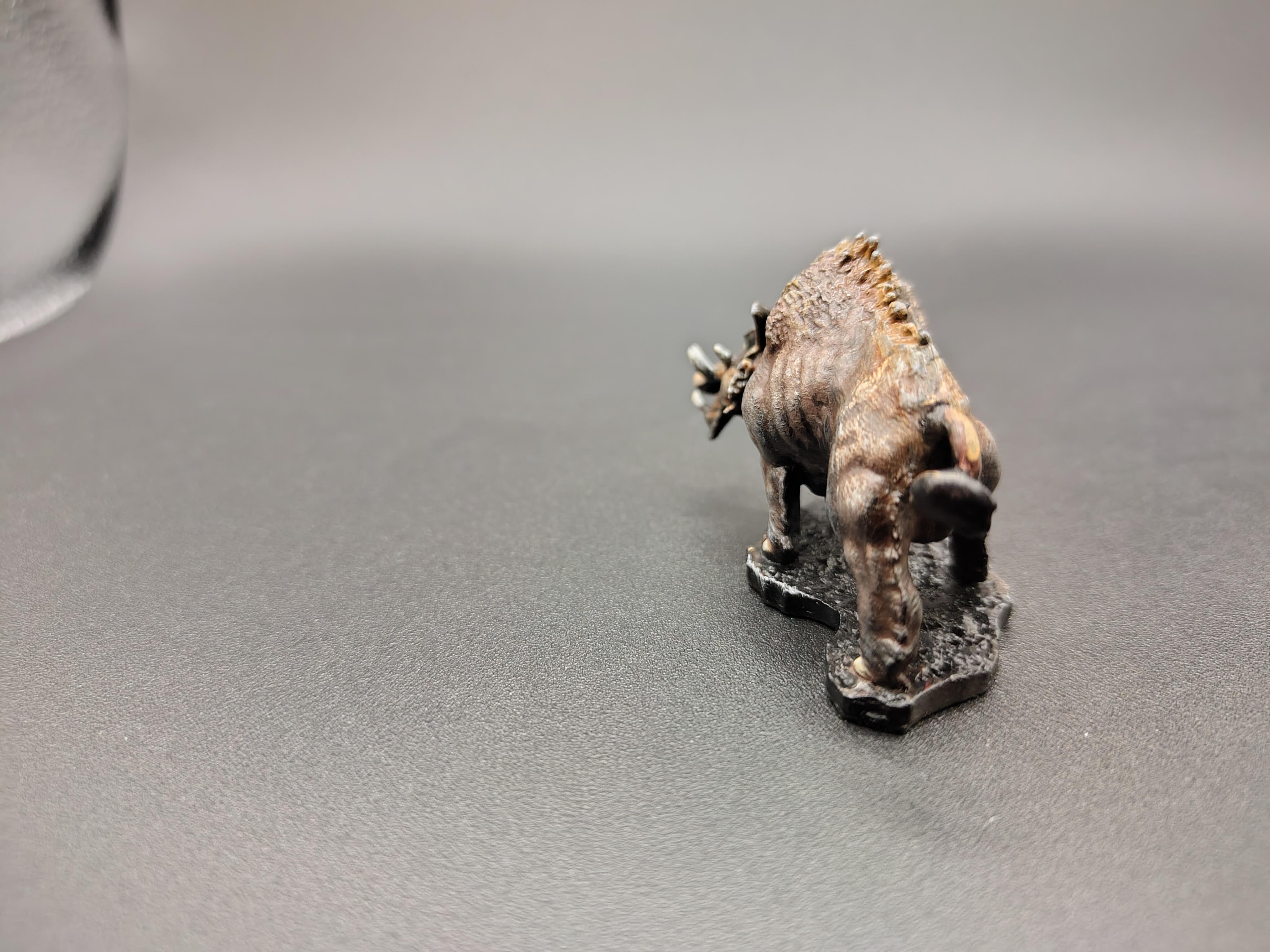 Boar