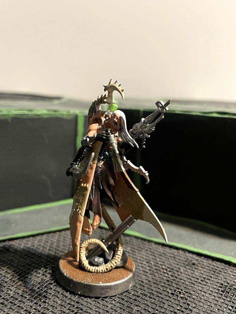 Drukhari, Haemonculus