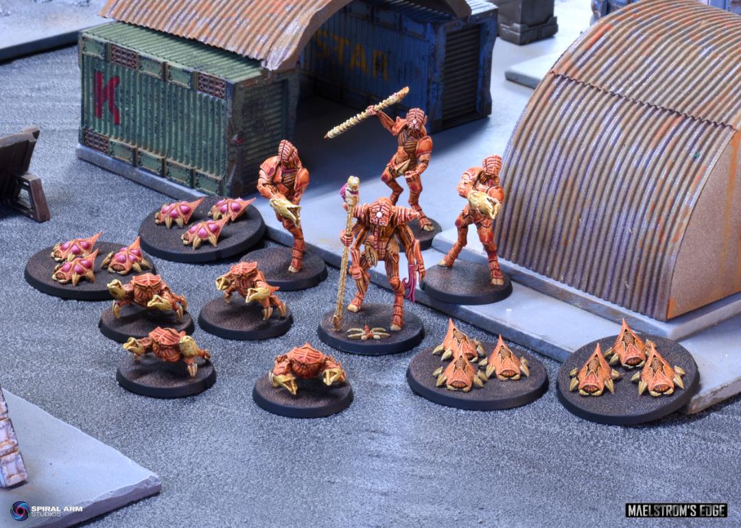 Kaigus Pact, Maelstrom's Edge, Medge