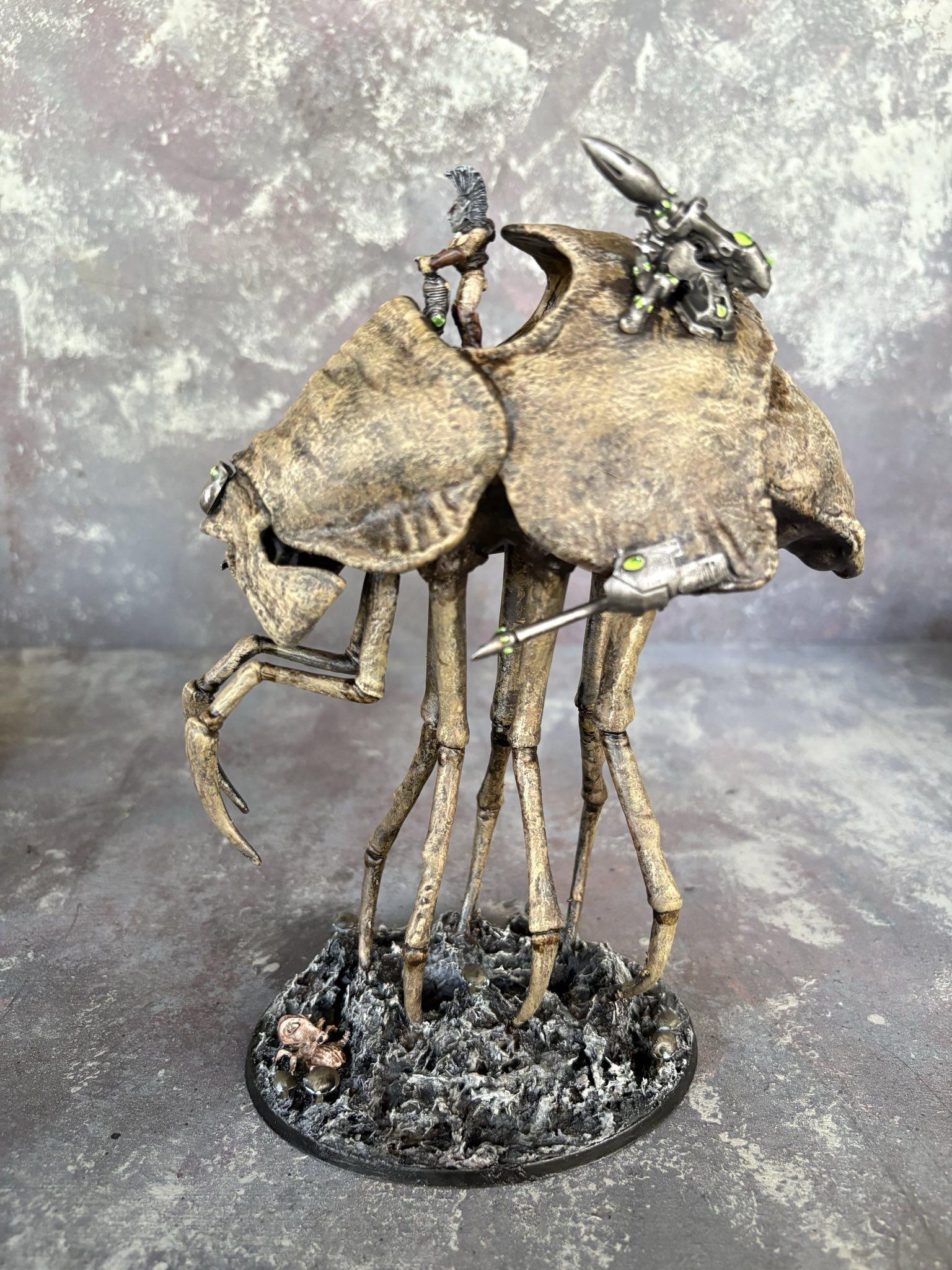 Eldar, Insect, Rider