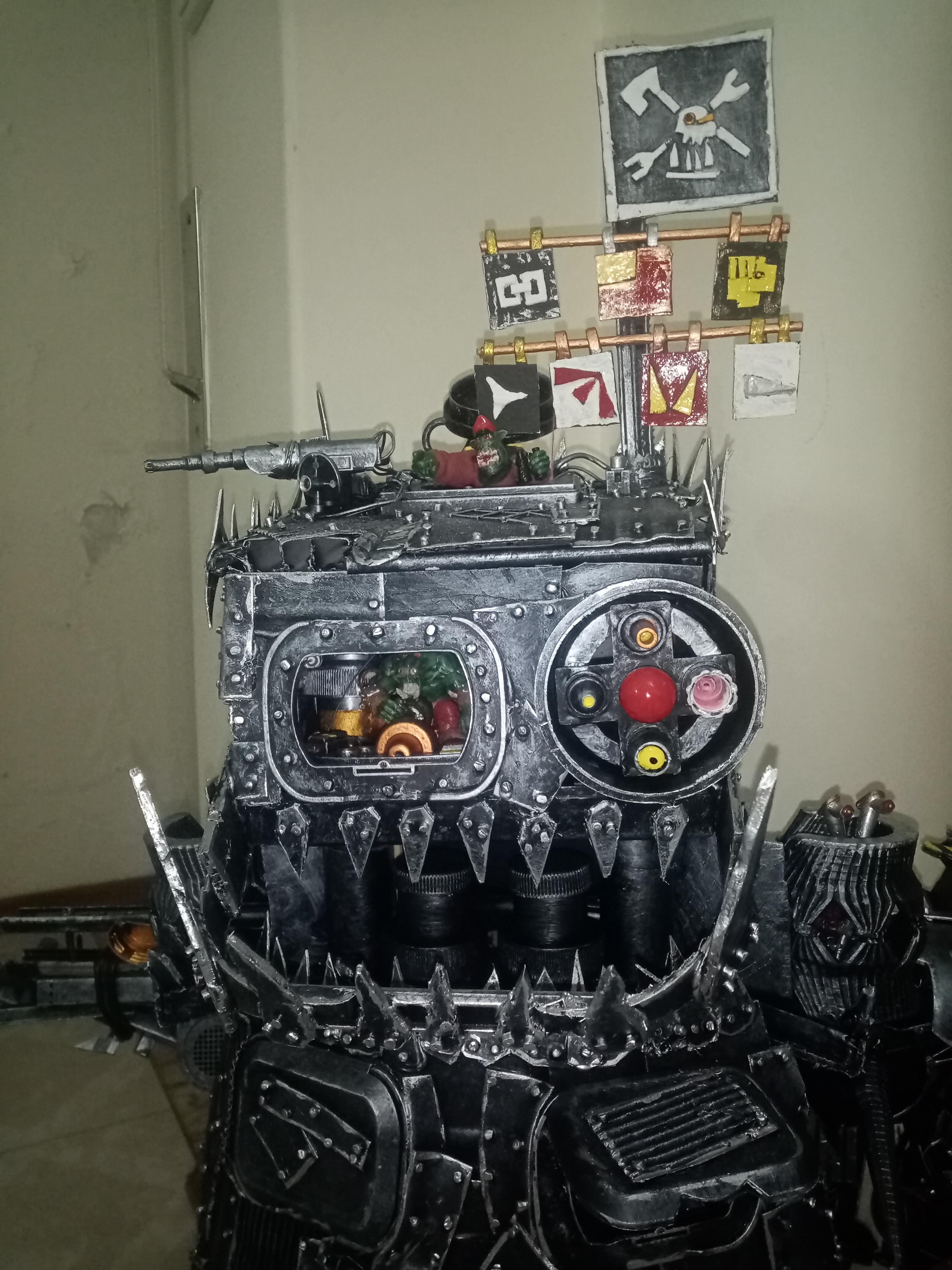 Front view of the head