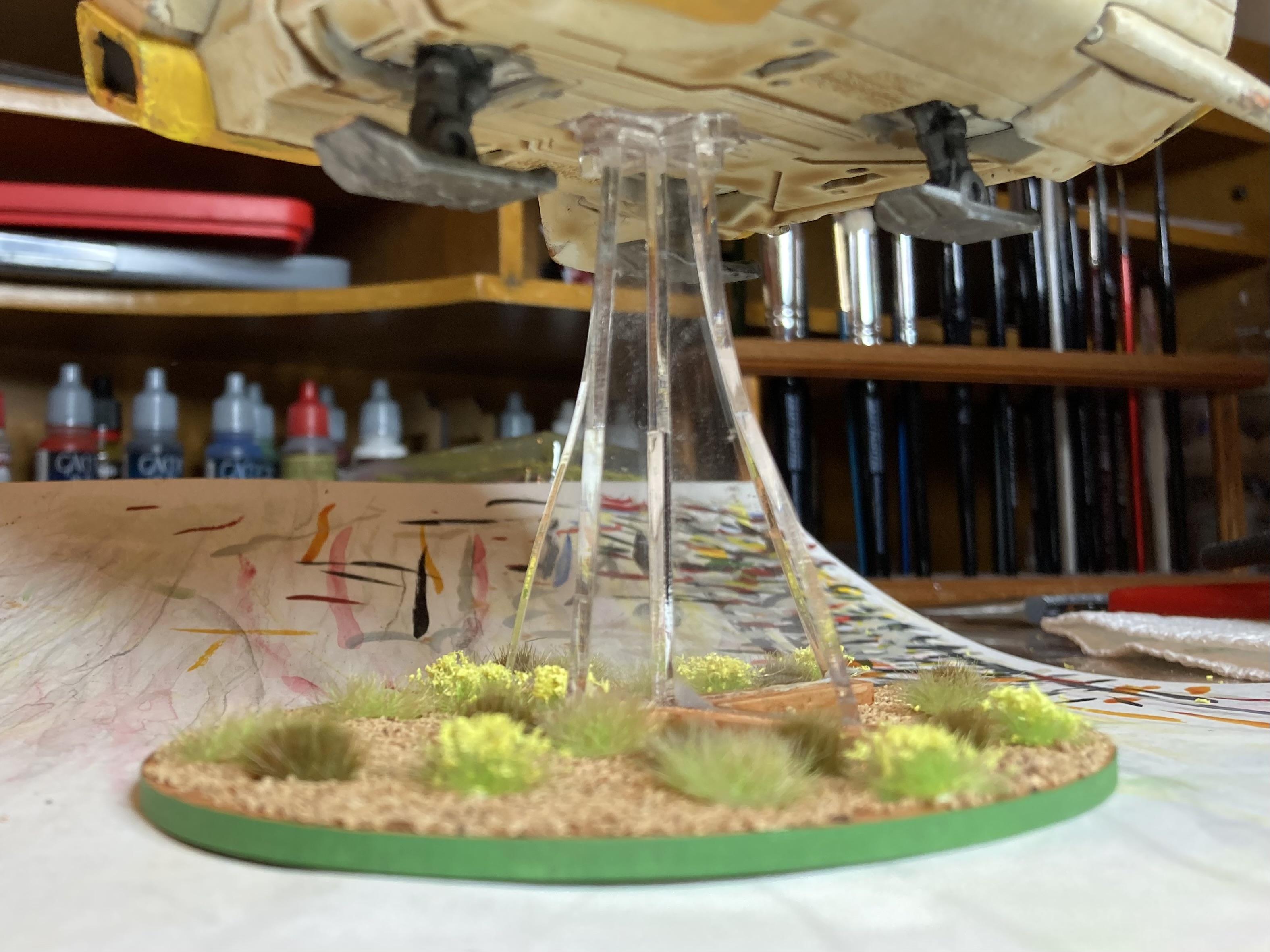 Armadillo&rsquo;s stand