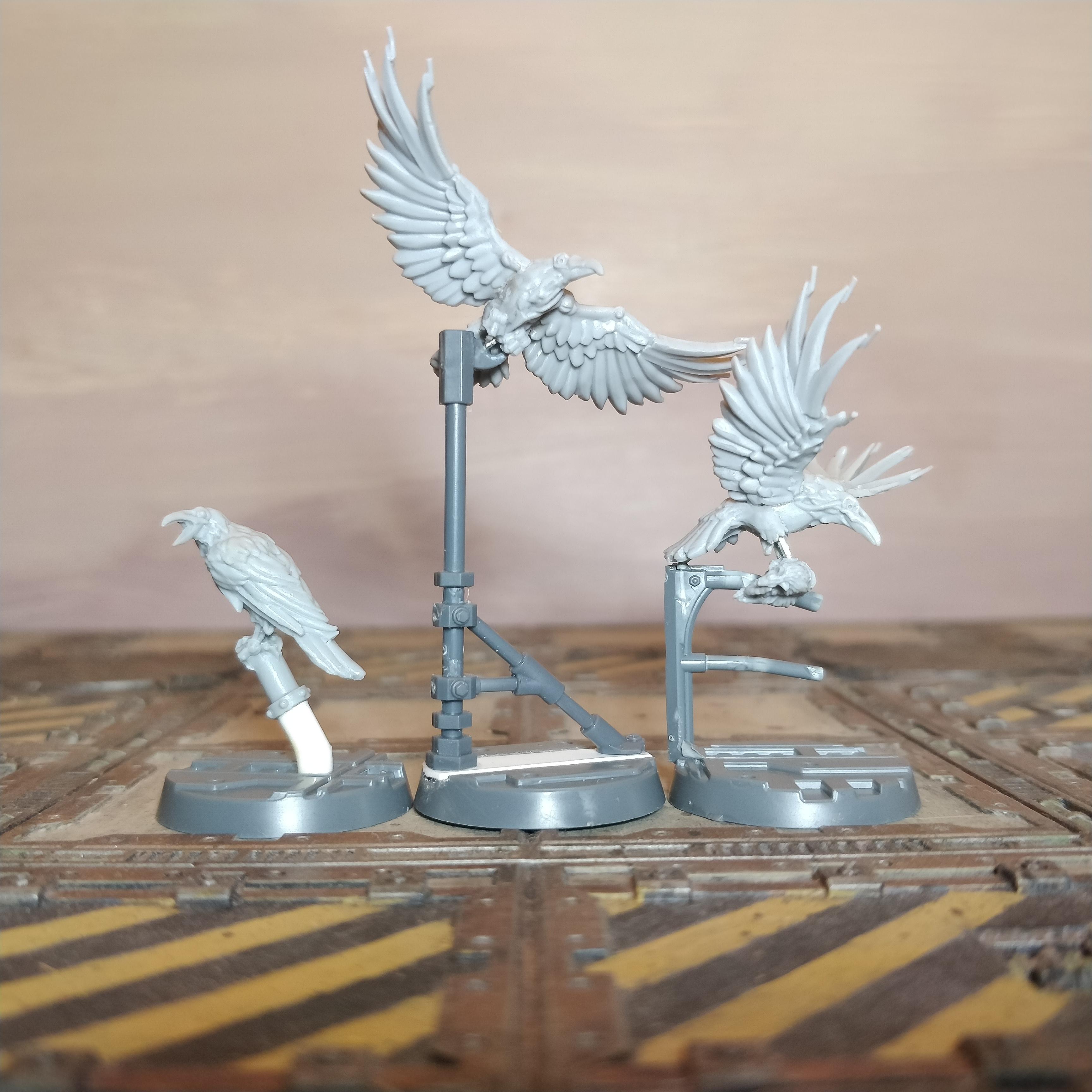 Caw, Cawdor, Corvid, Mortalis, N17, Necromunda, Sheen Birds, Warhammer 40,000, Zone