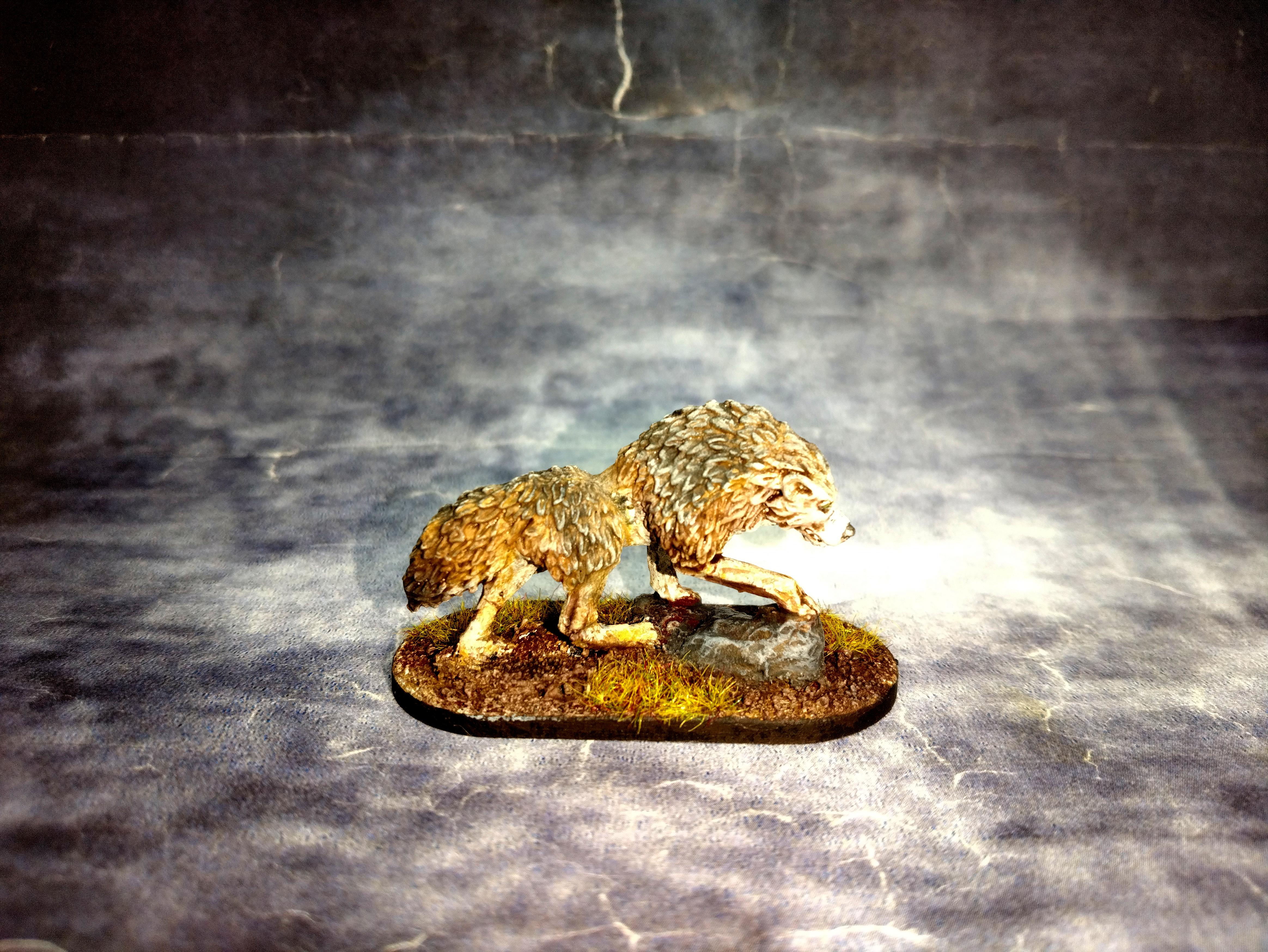 February 2025, Frostgrave, Northstar, Wolf
