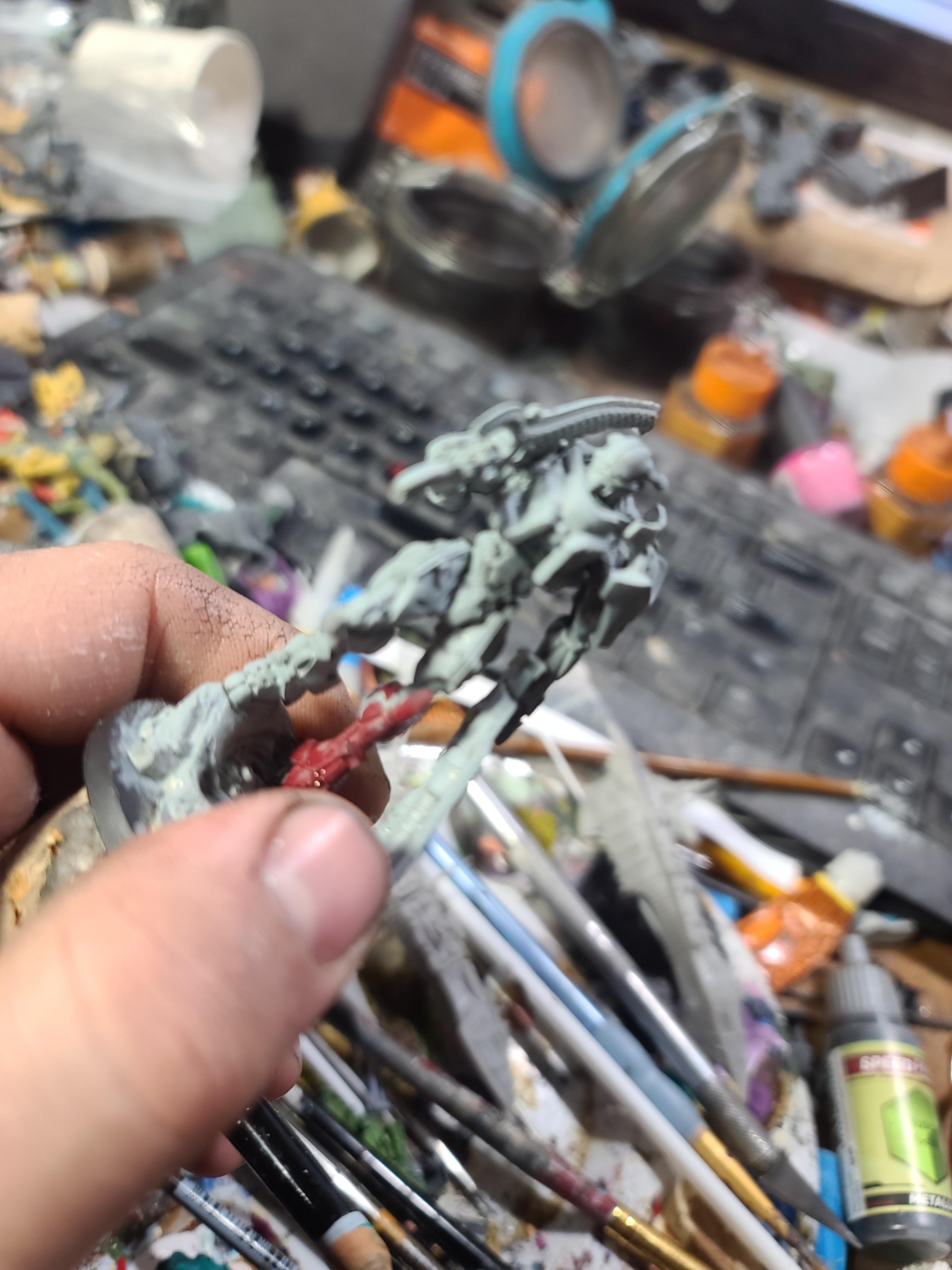 Corvus Belli, Infinity, Pan-o, Tag, Tikbalang