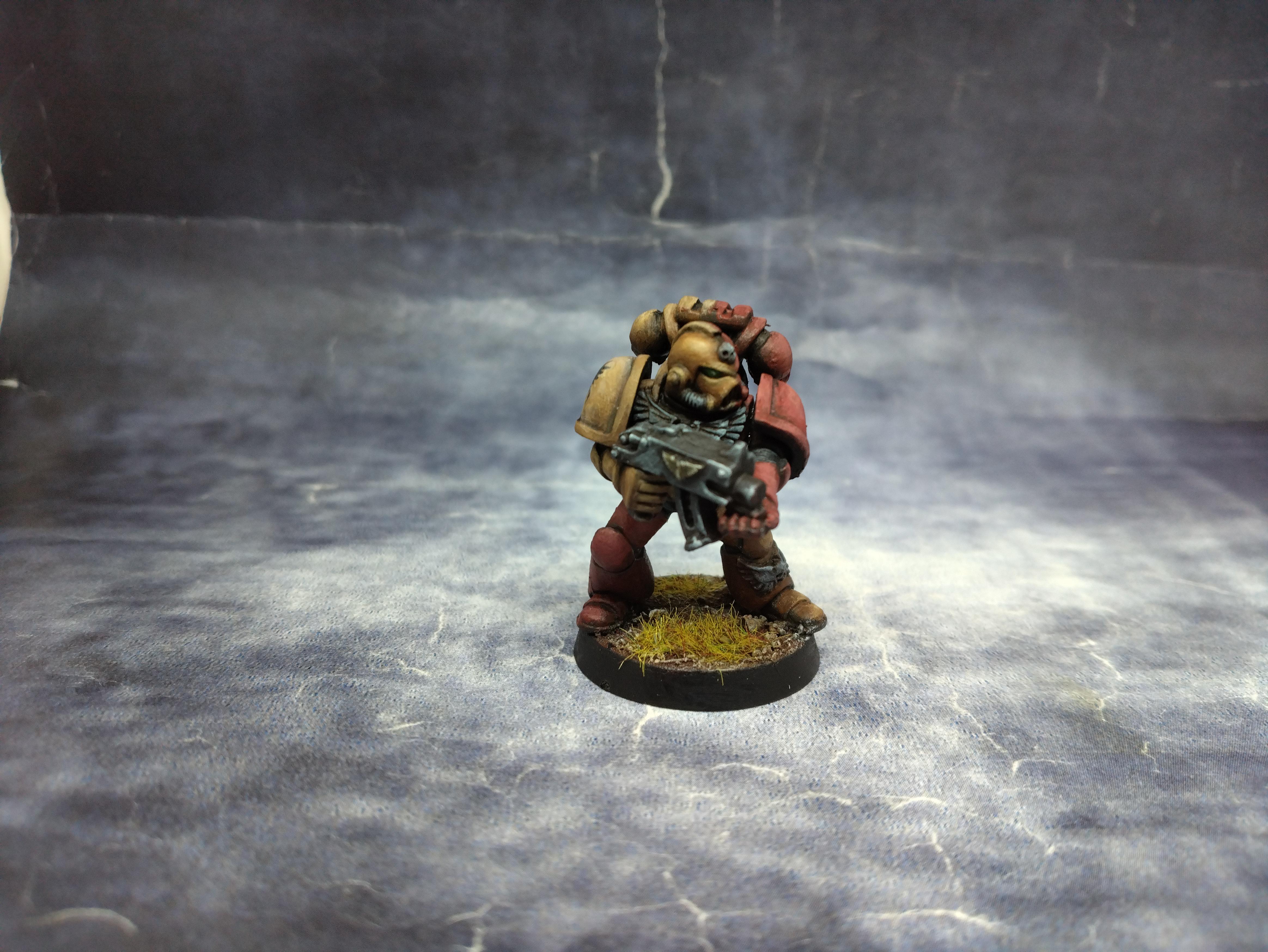 Games Workshop, Howling Griffon, March 2025, Space Marines