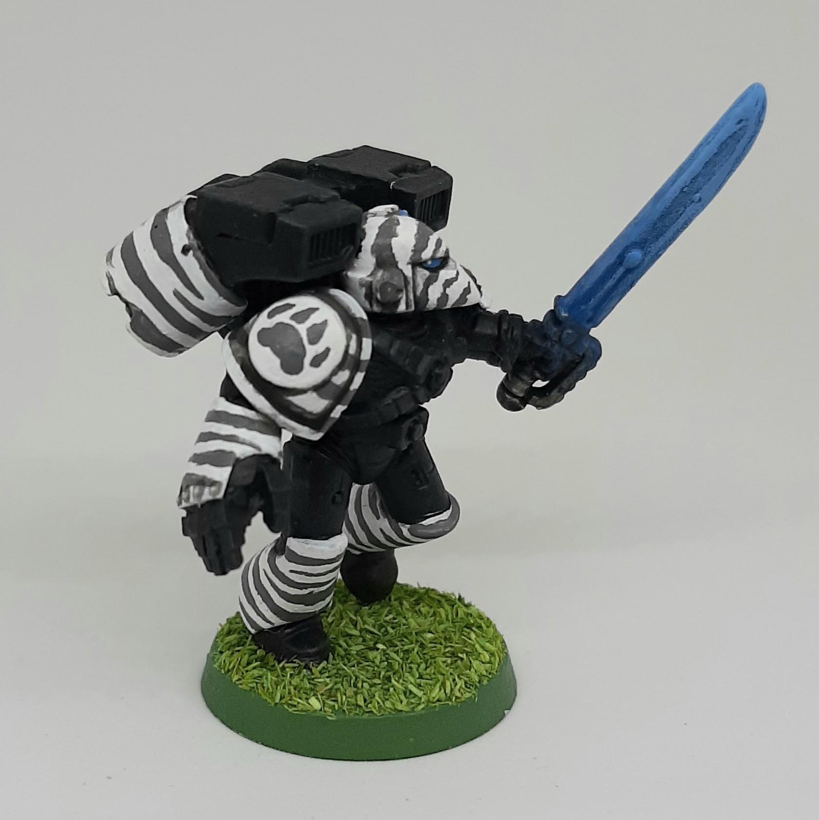 Adeptus, Assault, Astartes, Camouflage, Fighting, India, Jungle, Pattern, Space, Space Marines, Stripes, Tiger, Tigers, Trees, Veda, White