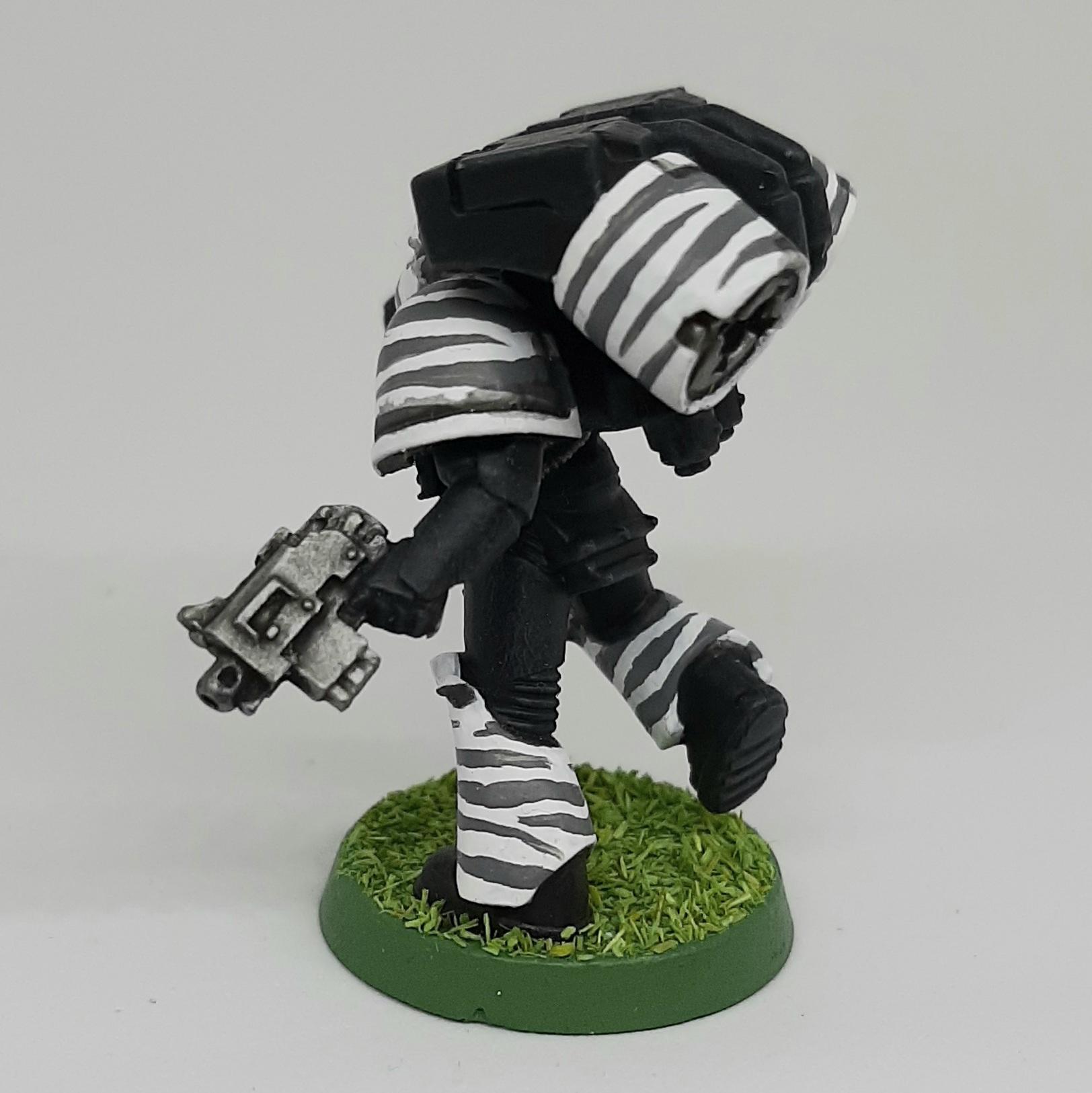 Adeptus, Assault, Astartes, Camouflage, Fighting, India, Jungle, Pattern, Space, Space Marines, Stripes, Tiger, Tigers, Trees, Veda, White