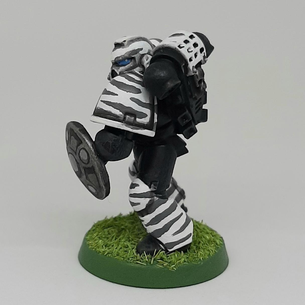Adeptus, Astartes, Camouflage, Conversion, Dandpatta, Fighting, India, Jungle, Pata, Patta, Pattern, Shield, Space, Space Marines, Stripes, Tiger, Tigers, Trees, Veda, Veteran, White