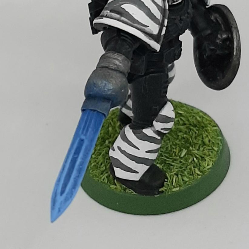 Adeptus, Astartes, Camouflage, Conversion, Dandpatta, Fighting, India, Jungle, Pata, Patta, Pattern, Shield, Space, Space Marines, Stripes, Tiger, Tigers, Trees, Veda, Veteran, White