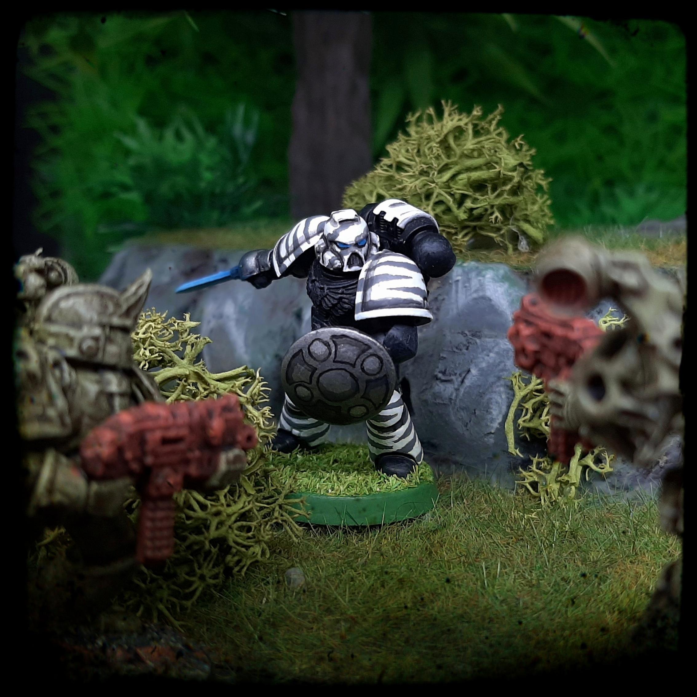 Adeptus, Astartes, Camouflage, Conversion, Dandpatta, Fighting, India, Jungle, Pata, Patta, Pattern, Shield, Space, Space Marines, Stripes, Tiger, Tigers, Trees, Veda, Veteran, White