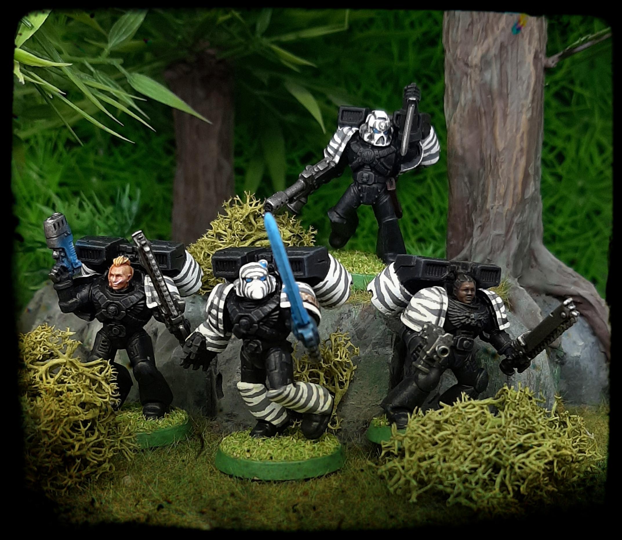 Adeptus, Assault, Astartes, Camouflage, Fighting, India, Jungle, Pattern, Space, Space Marines, Stripes, Tiger, Tigers, Trees, Veda, White