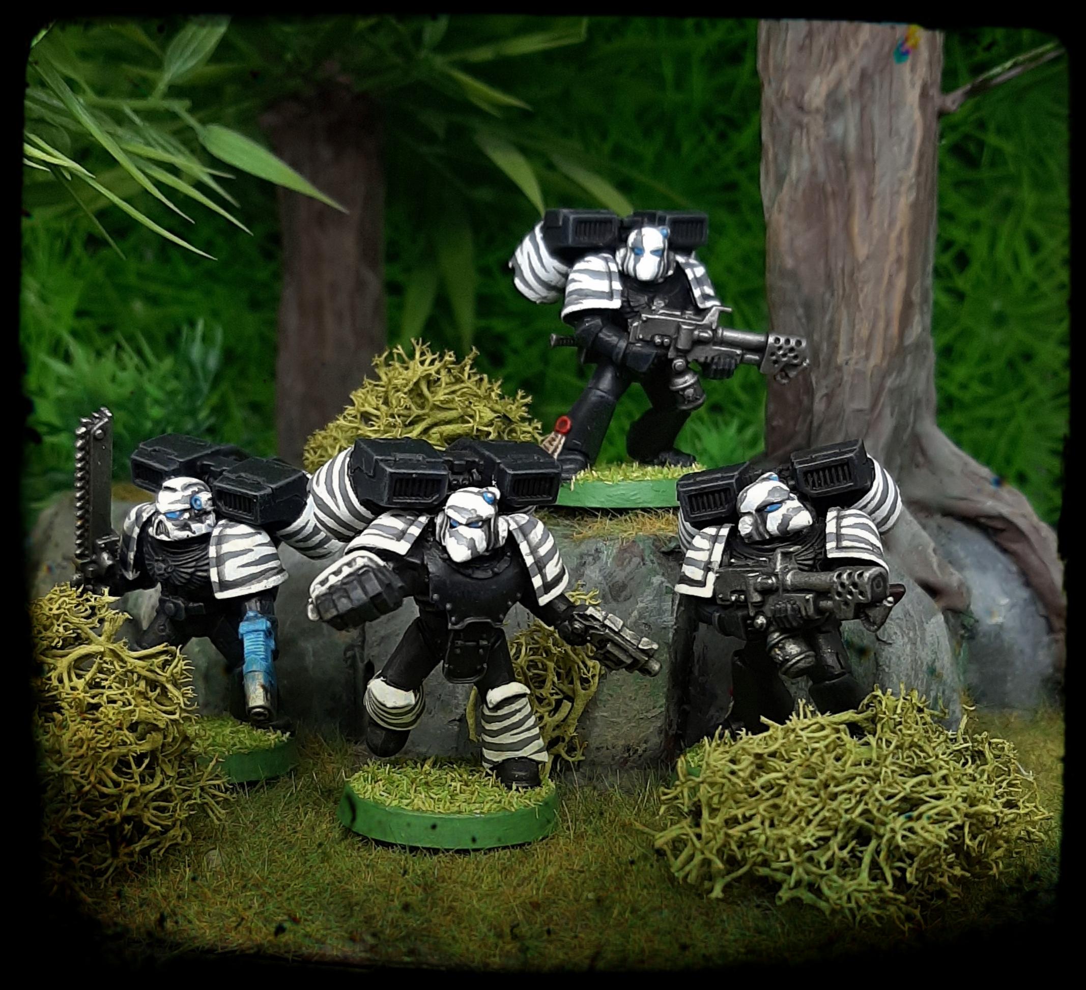 Adeptus, Assault, Astartes, Camouflage, Fighting, India, Jungle, Pattern, Space, Space Marines, Stripes, Tiger, Tigers, Trees, Veda, White