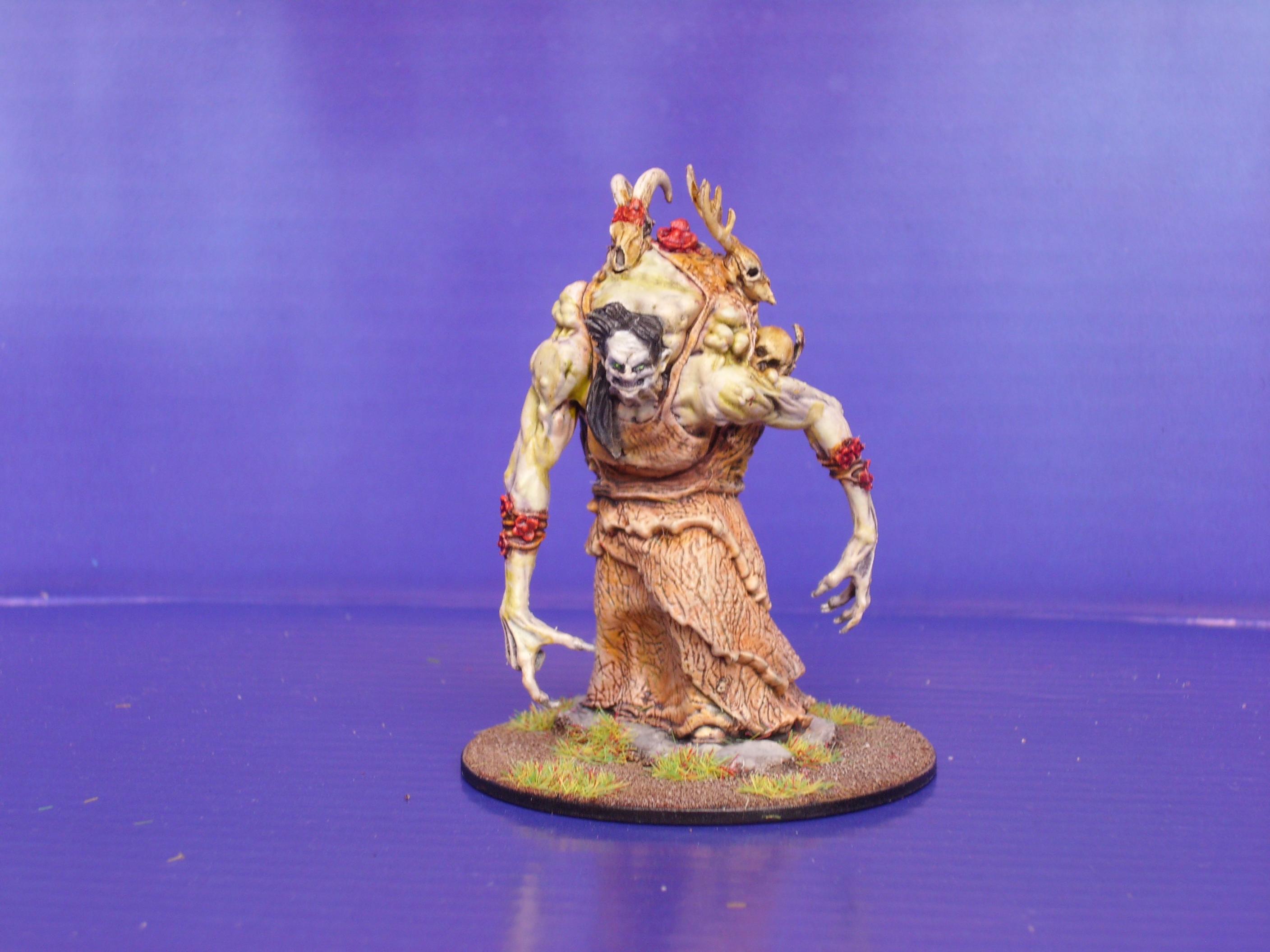 Dungeons And Dragons, Hag, Monsters, Nolzur's Marvellous Miniatures, Rpg, Witch