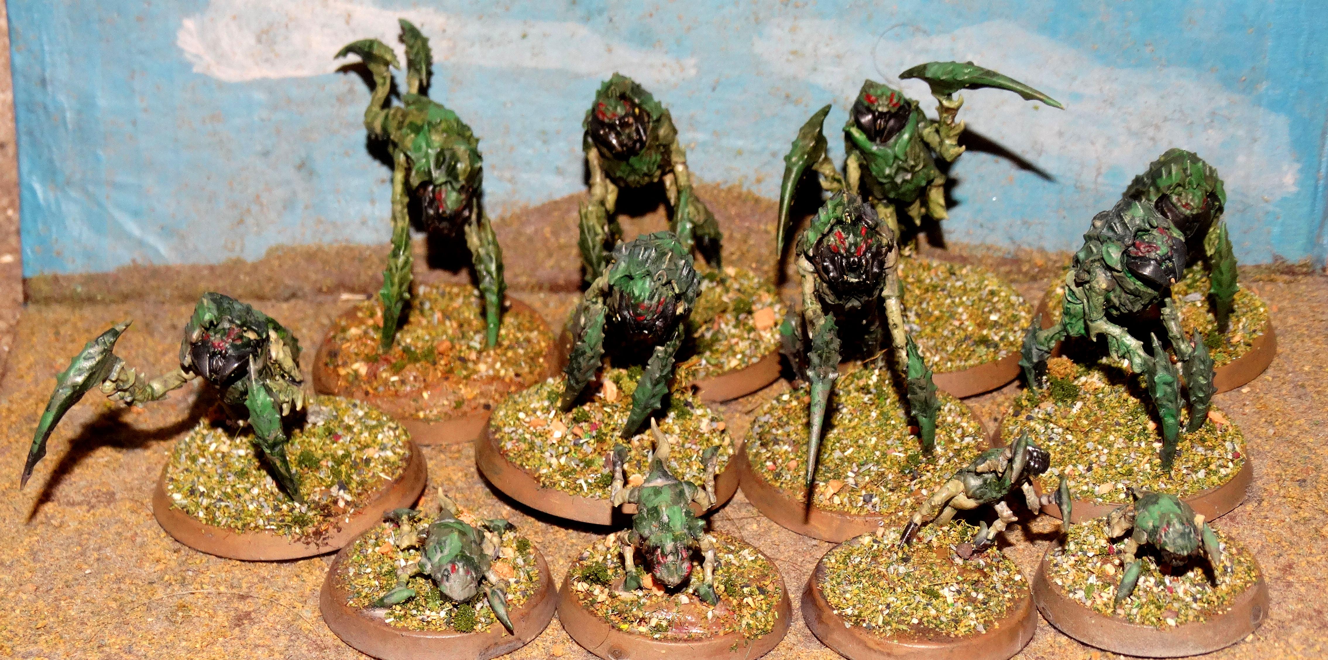 Bugs