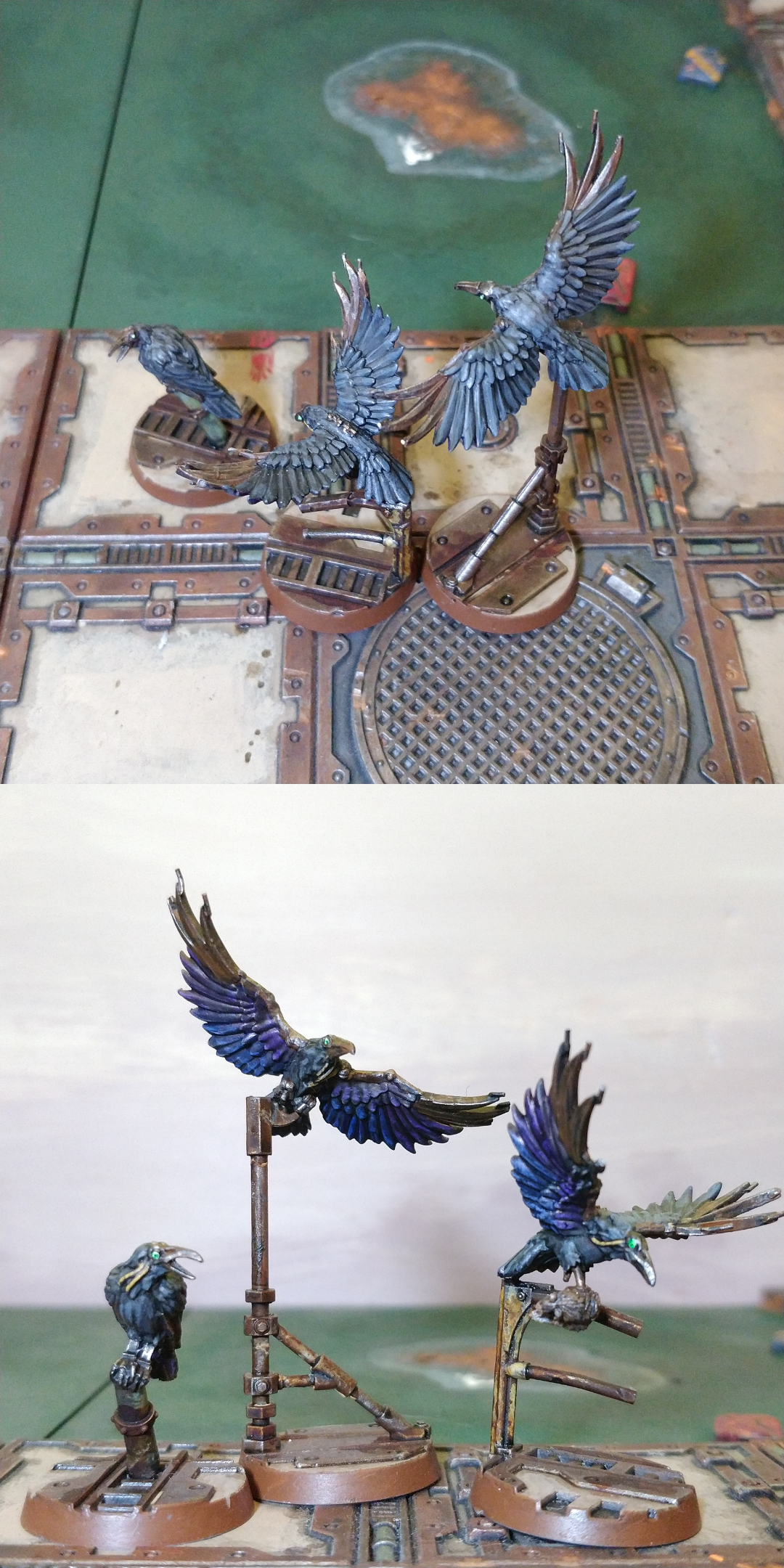 Bird, Cawdor, N17, Necromunda