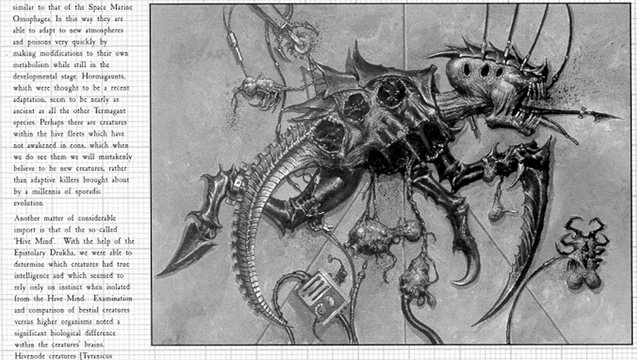 hormagaunt necropsy