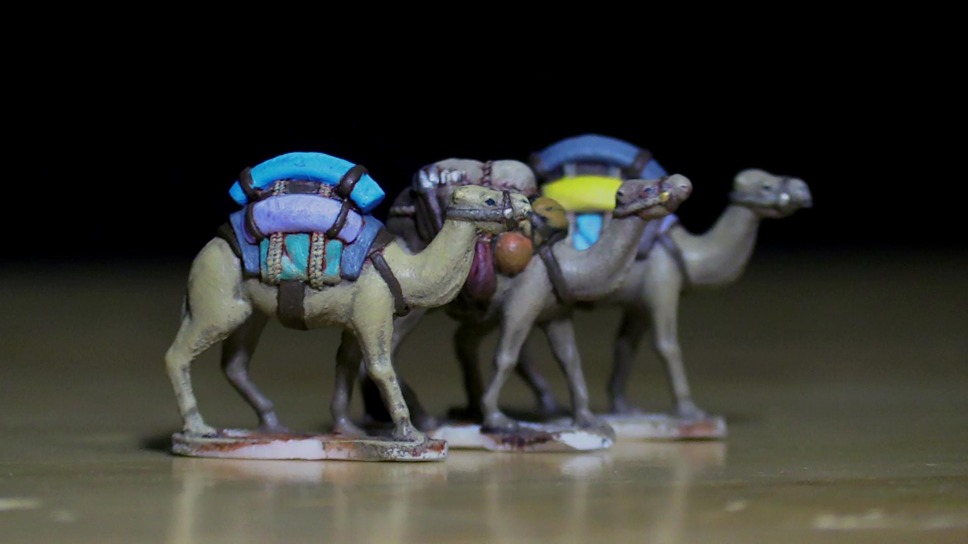 Camel, Epic Battles, Hail Caesar, Historical, Warlord