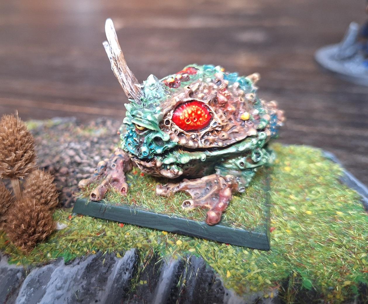 Toad_6